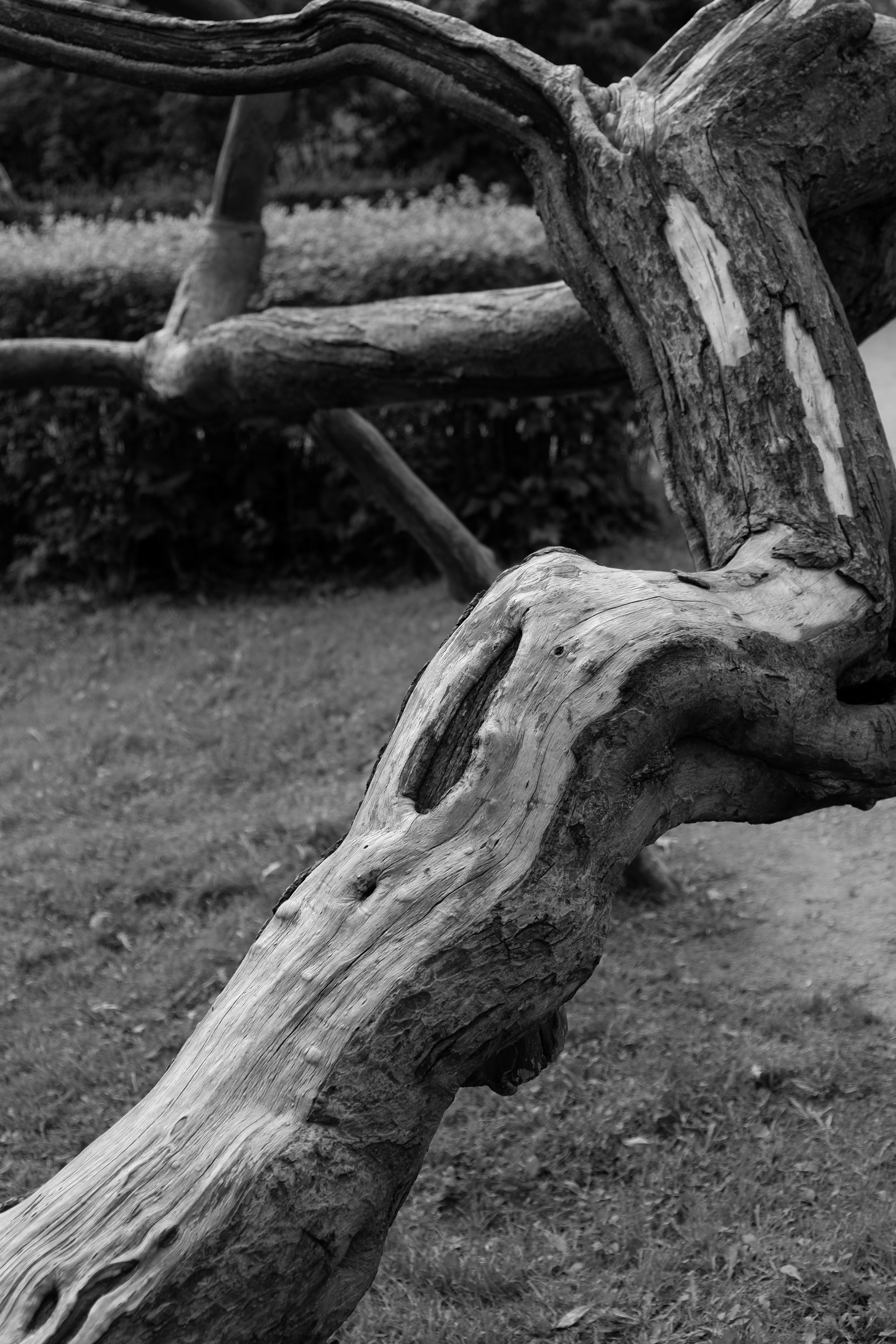 Дарья фотограф | Визитка человека искусства. Фотограф | Александр Очковский