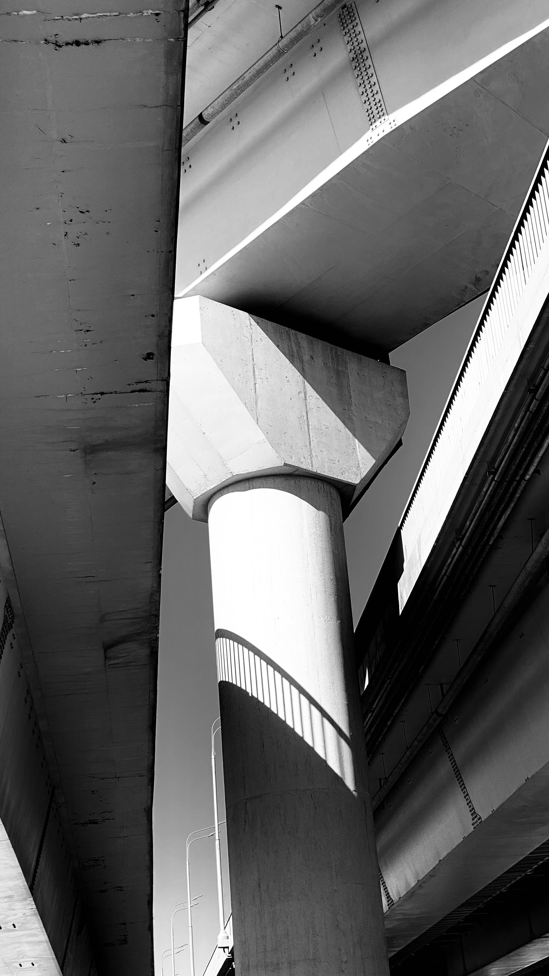 Мобильное фото. Фотограф в Москве Айгуль Евграфова