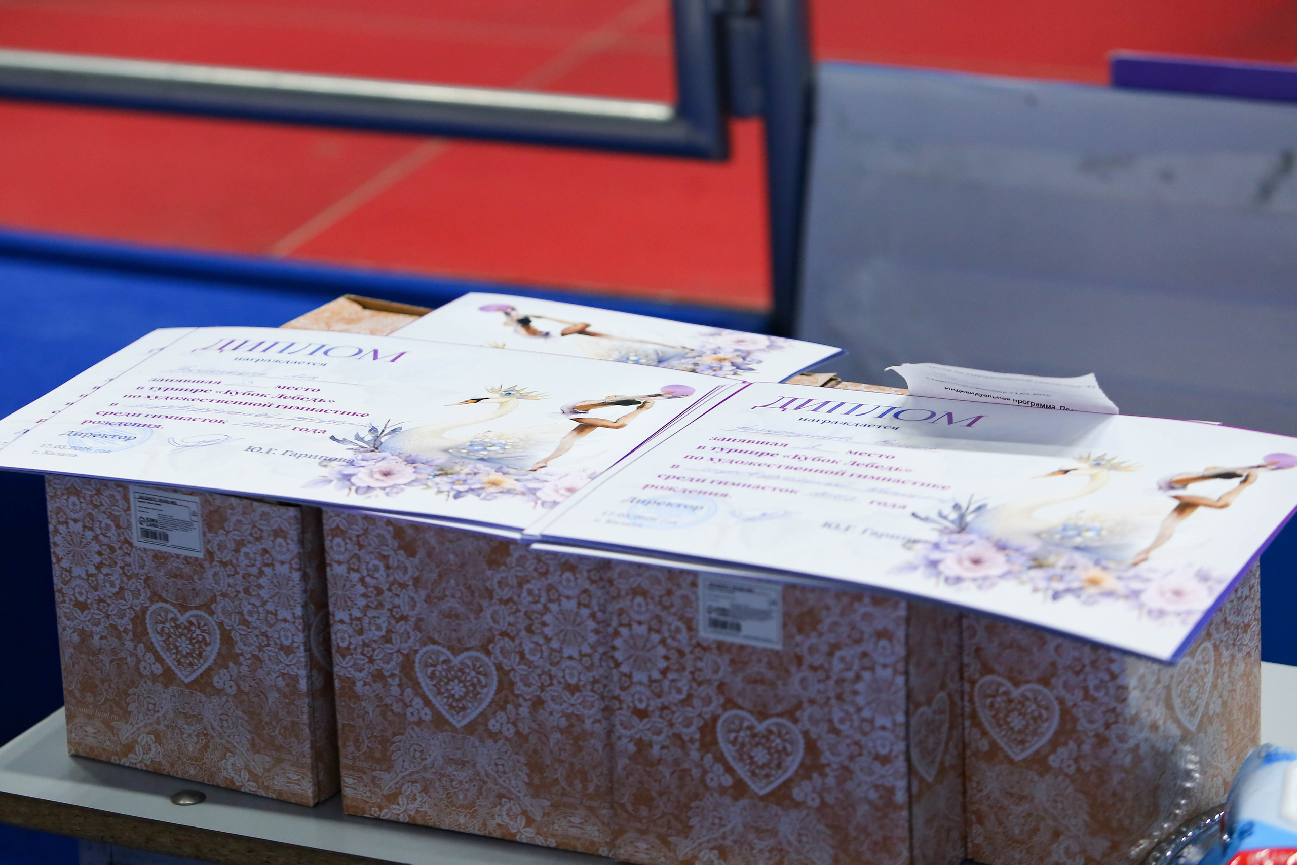 2026.03.17 Кубок Лебедя. RB-gymnastic