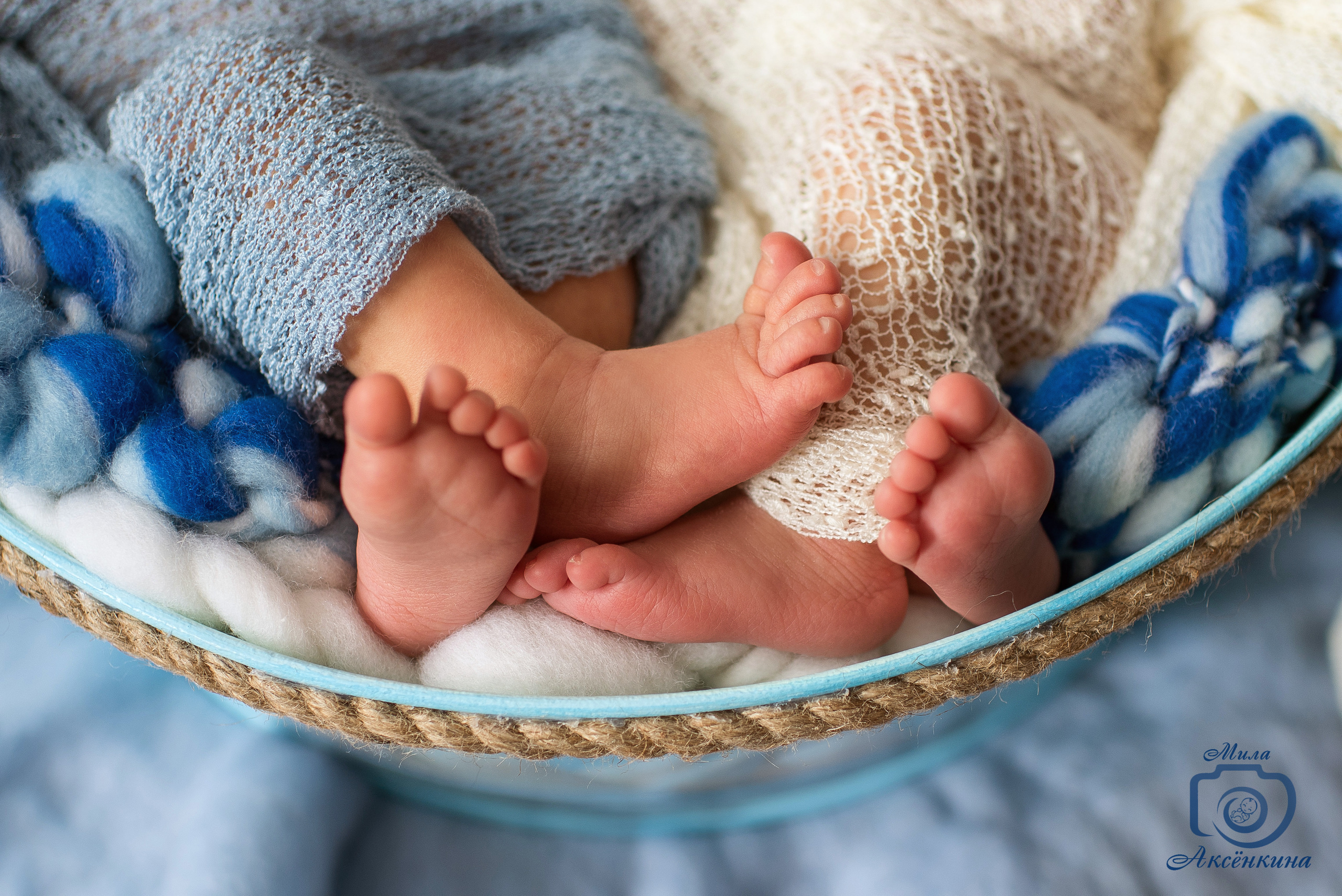 Портфолио новорожденных. Фотограф в Нефтеюганске Мила Аксёнкина