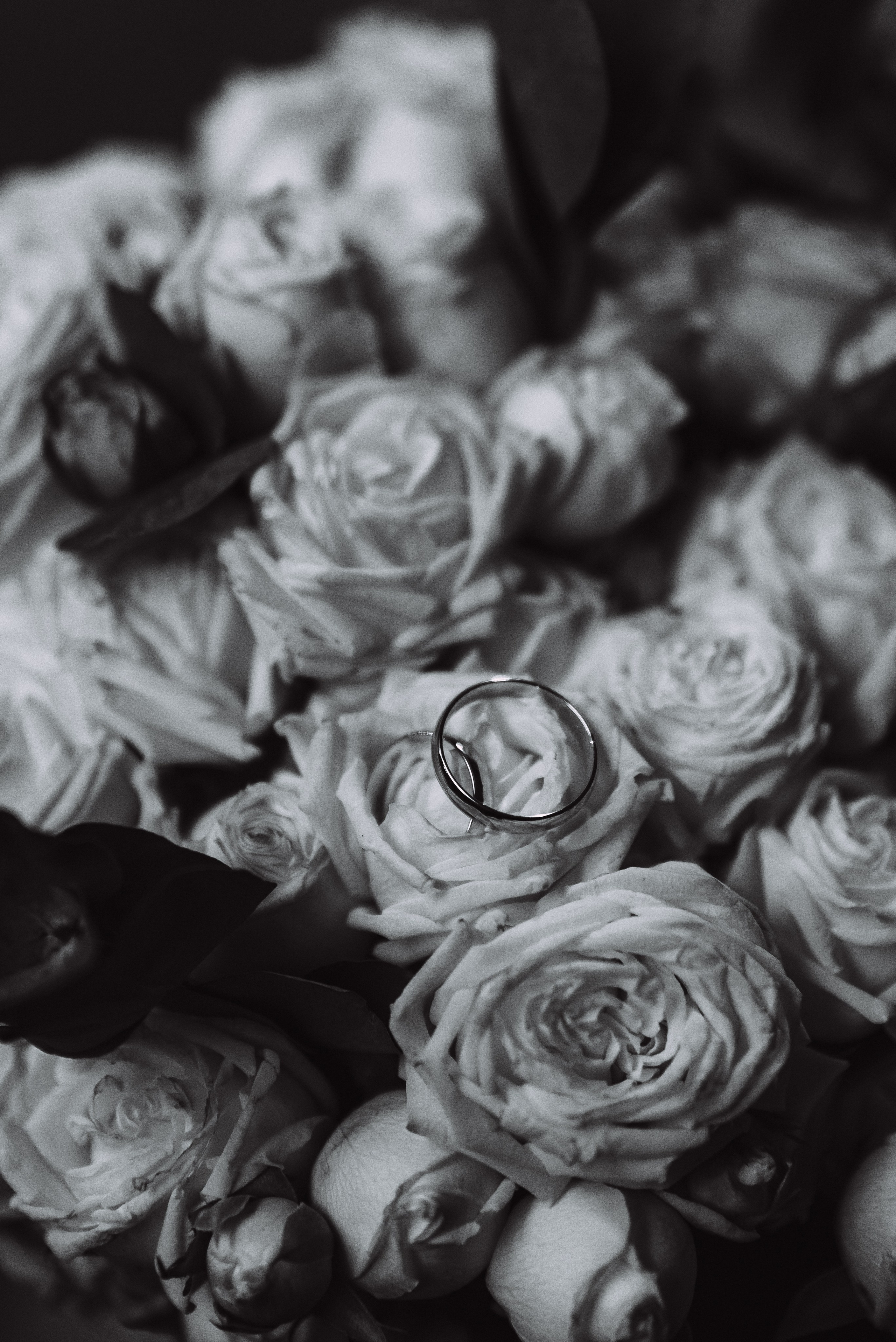 Никита + Кристина. Свадебный и семейный фотограф в Волгограде Олеся Лисицкая