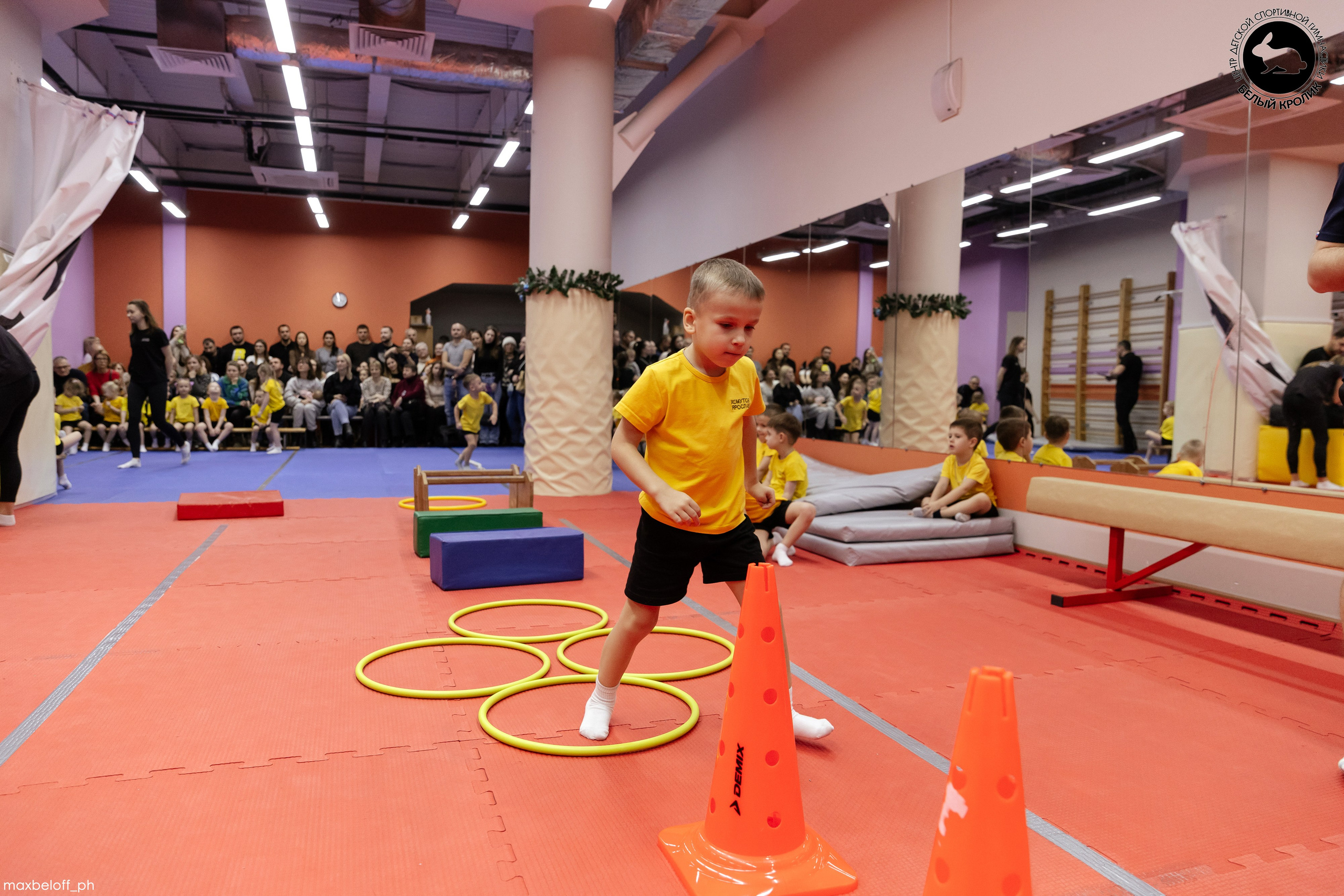 Белый кролик. Соревнования. Семейный фотограф — Макс Белогрудов