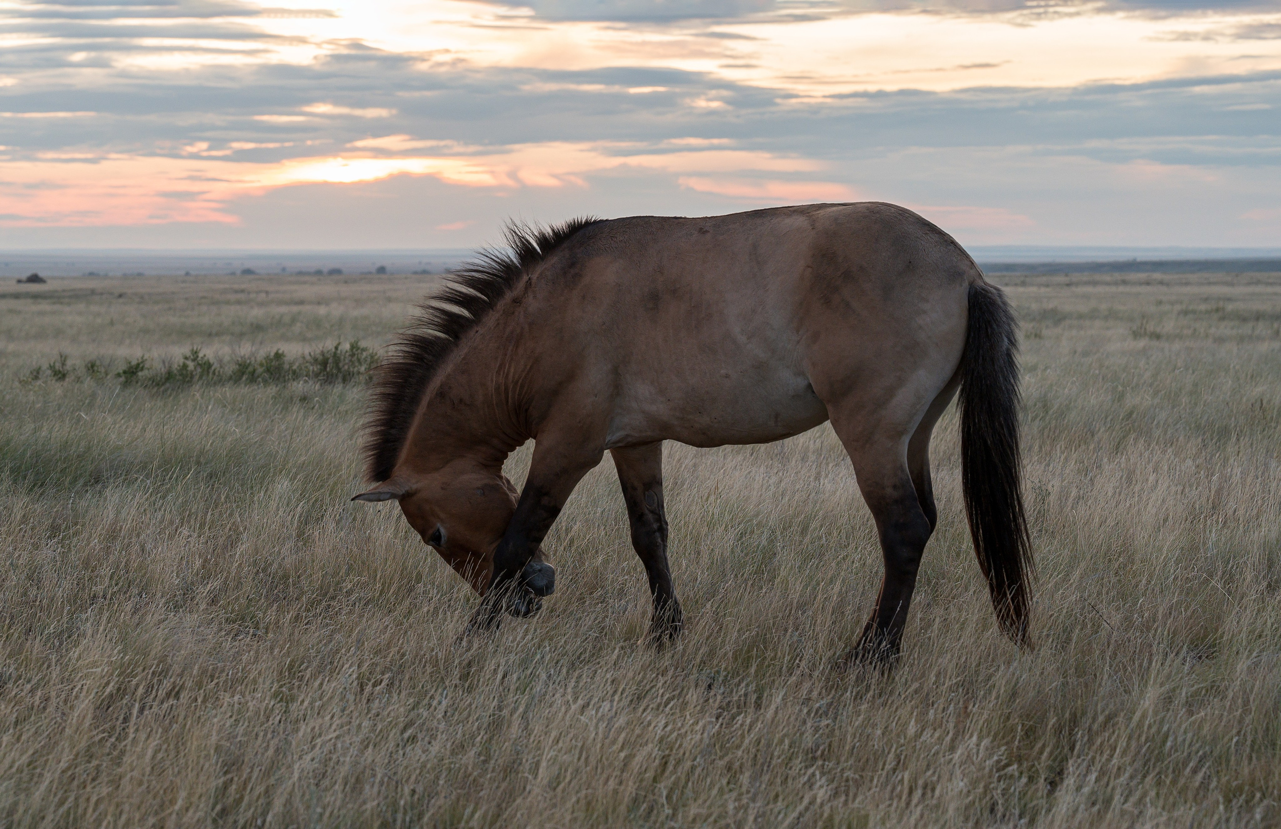 Оренбуржье. Портретный фотограф в Челябинске Катерина Руди