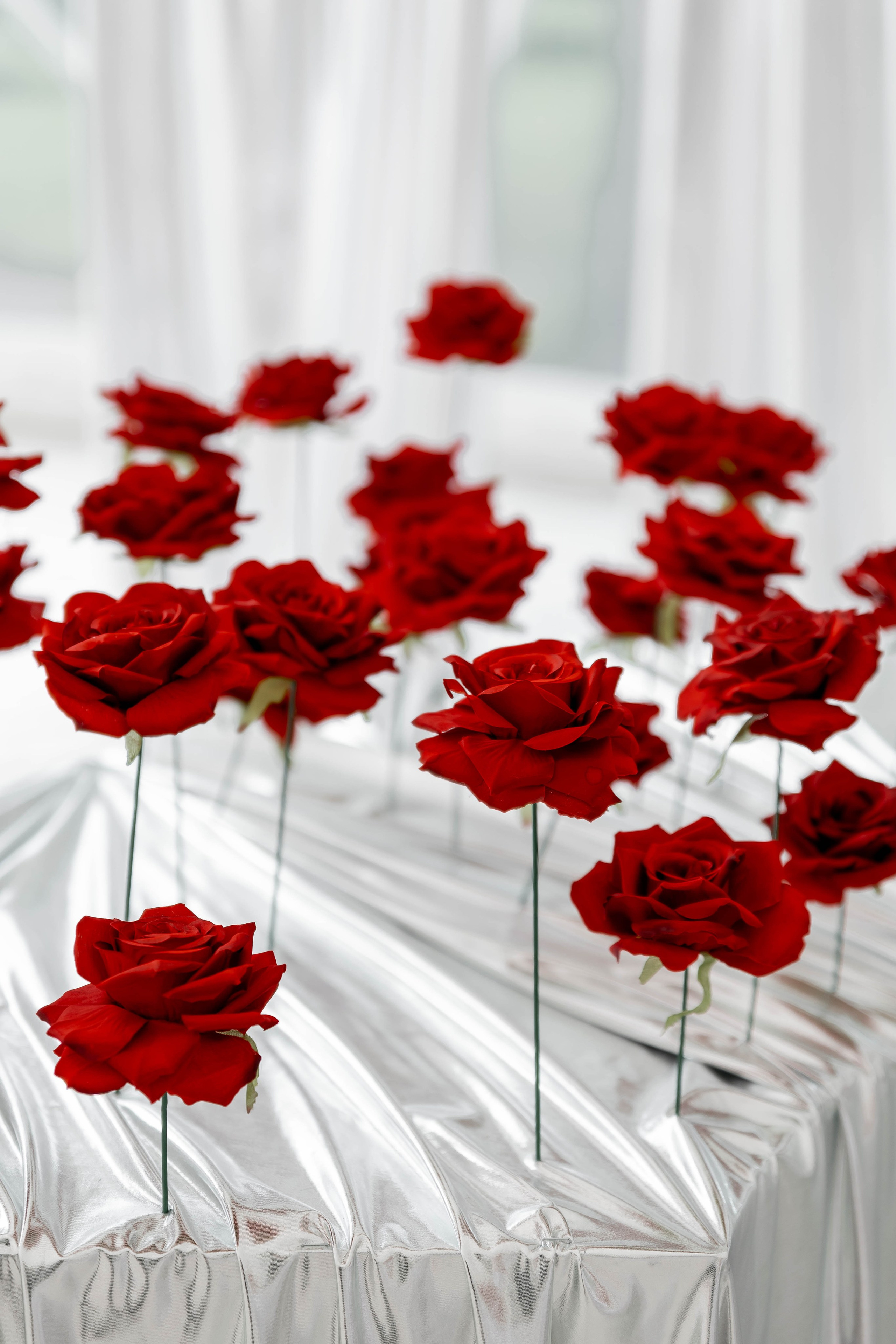 Кристина|Александр. Свадебный фотограф Надежда Рыжикова