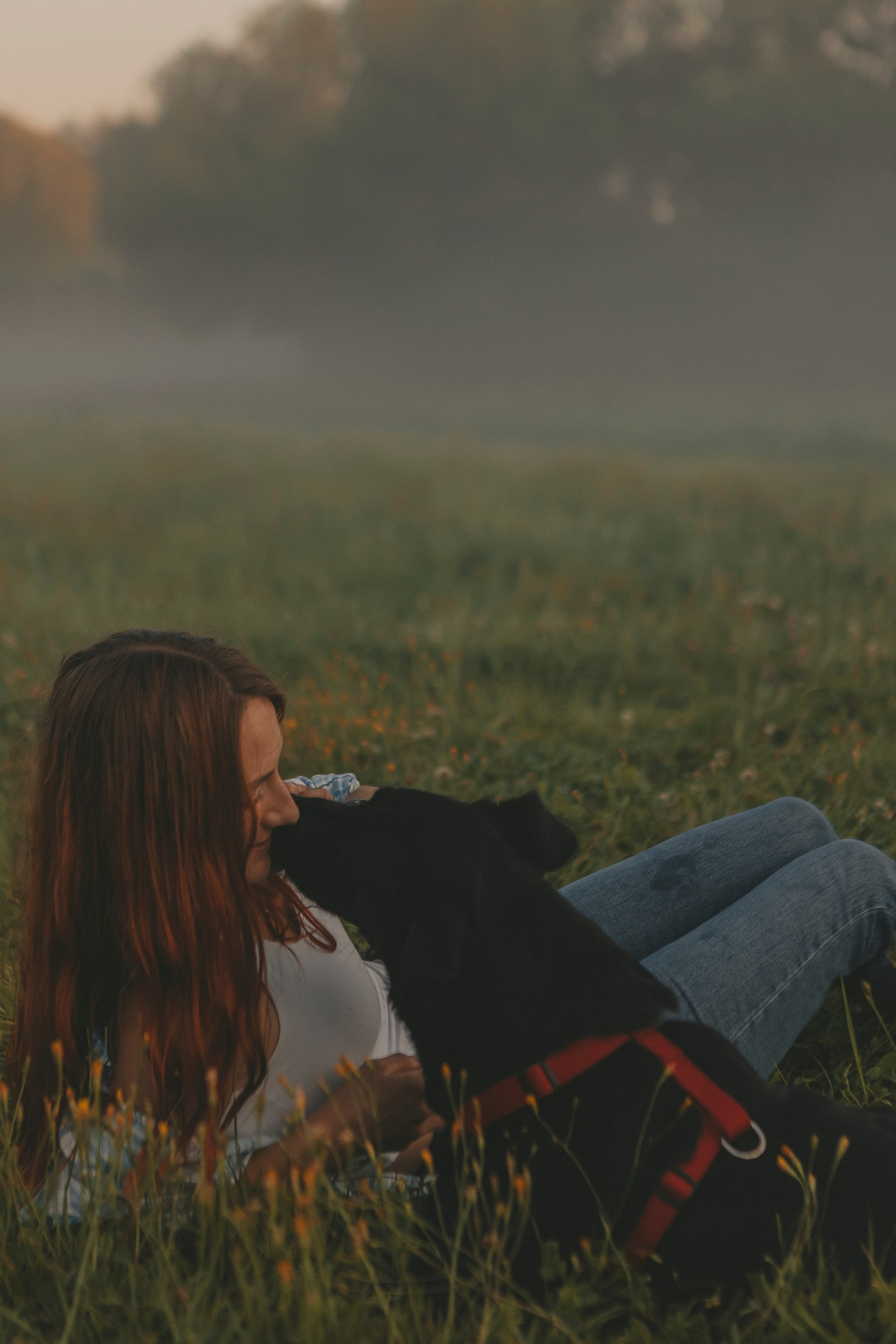 Саша и Дана. Фотограф-анималист в Санкт-Петербурге Алина Яхонт