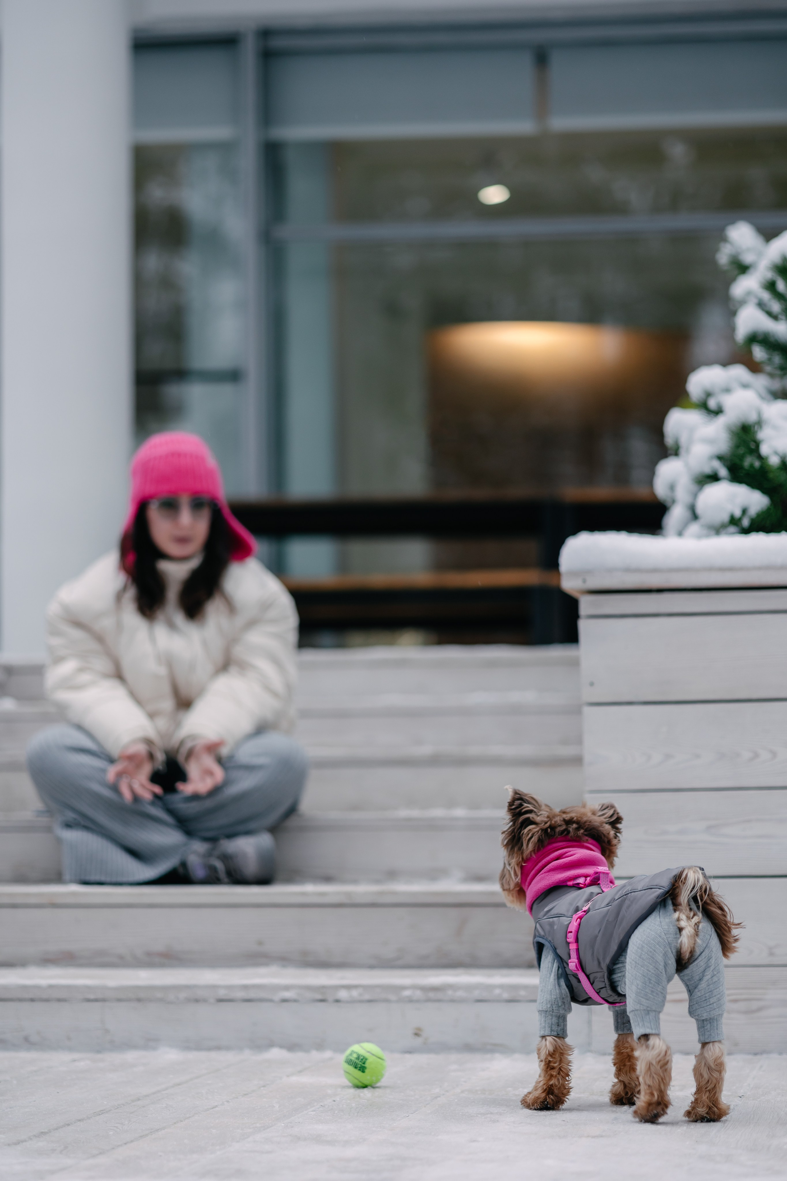 Лиза и Рикки. Фотограф-анималист в Санкт-Петербурге Алина Яхонт