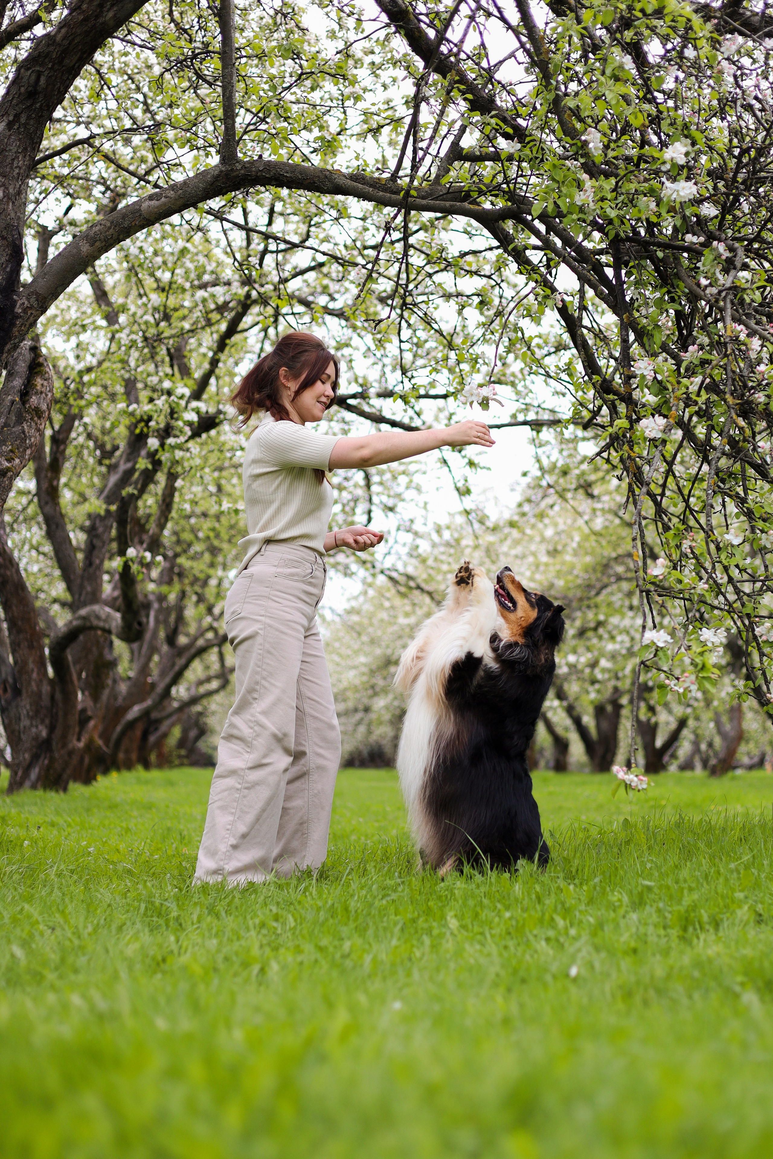 Келли и Света. Фотограф-анималист Ксения Шевцова|Москва