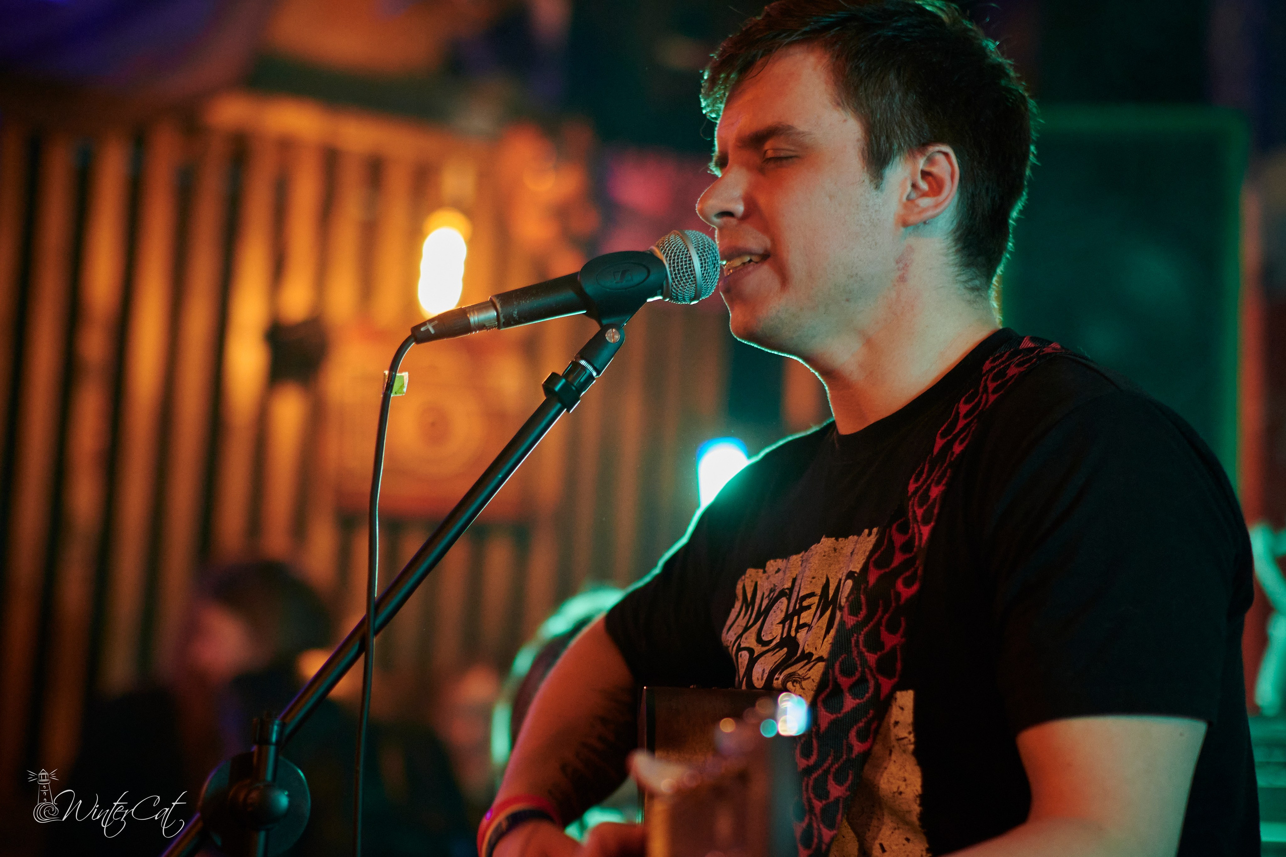 День Рождения Честер Четыре Года. Портретный и репортажный фотограф в Магадане Андрей Нефедов WinterCatPhoto