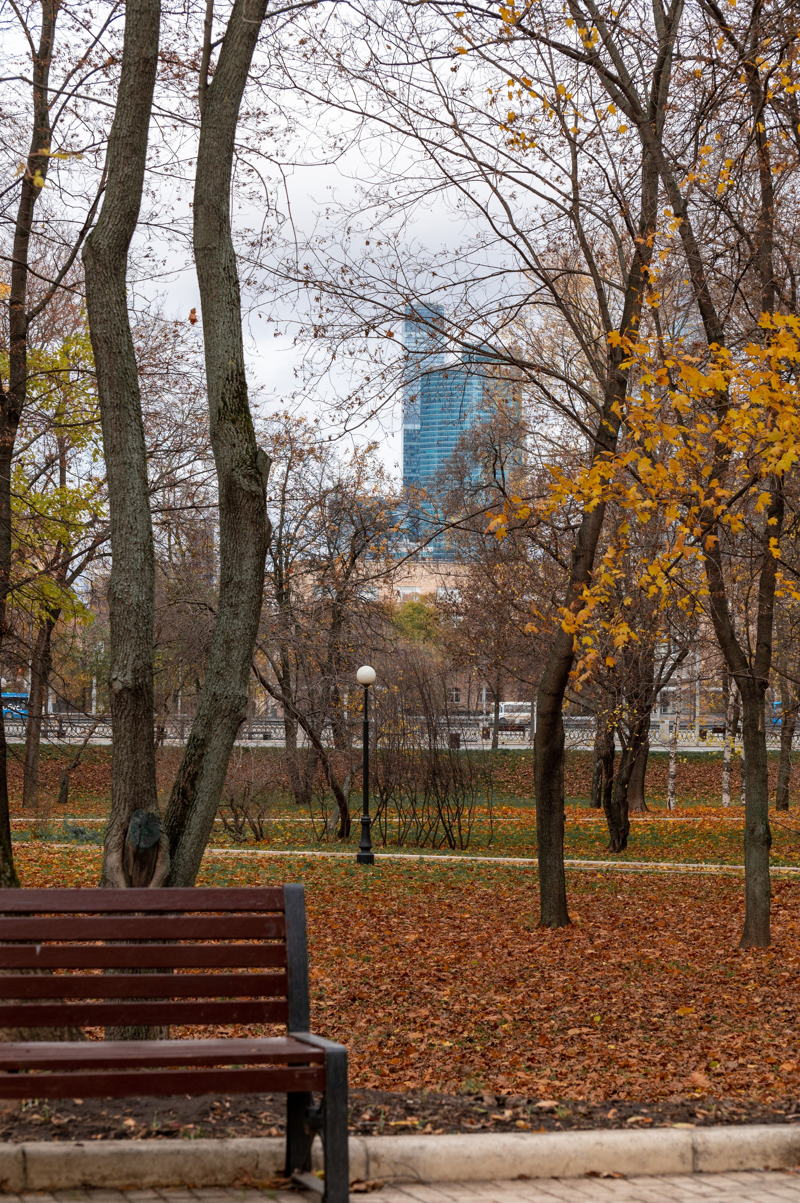 20221030 Новодевичий. Дмитрий Ремизов. Фотография, как хобби