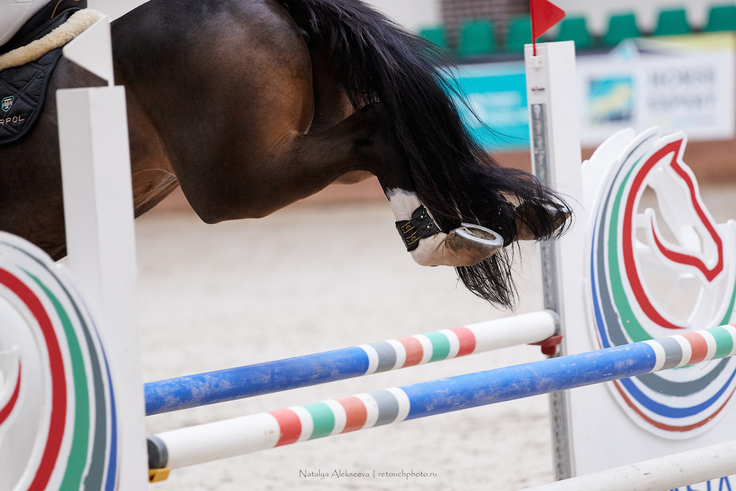 CSI2*-W*, World Cup Final Eurasian League, КСК Maxima Stables | 10'2021