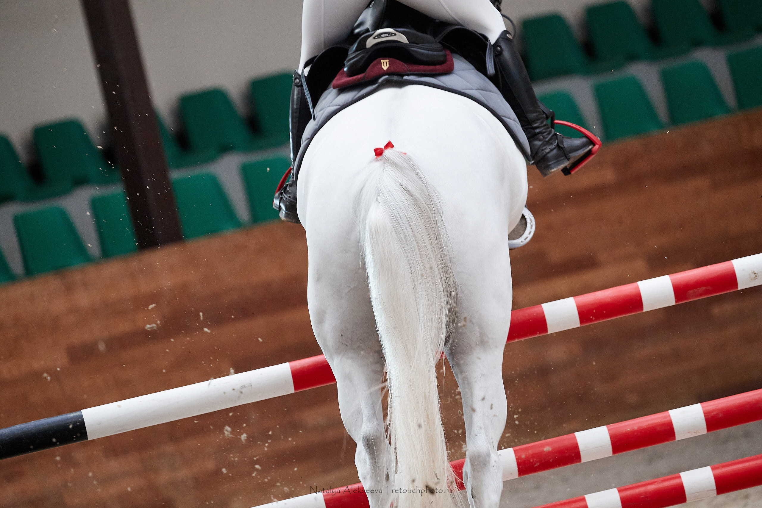 CSI2*-W*, World Cup Final Eurasian League, КСК Maxima Stables | 10'2021. Репортажный фотограф и ретушер в Москве Наталья Алексеева