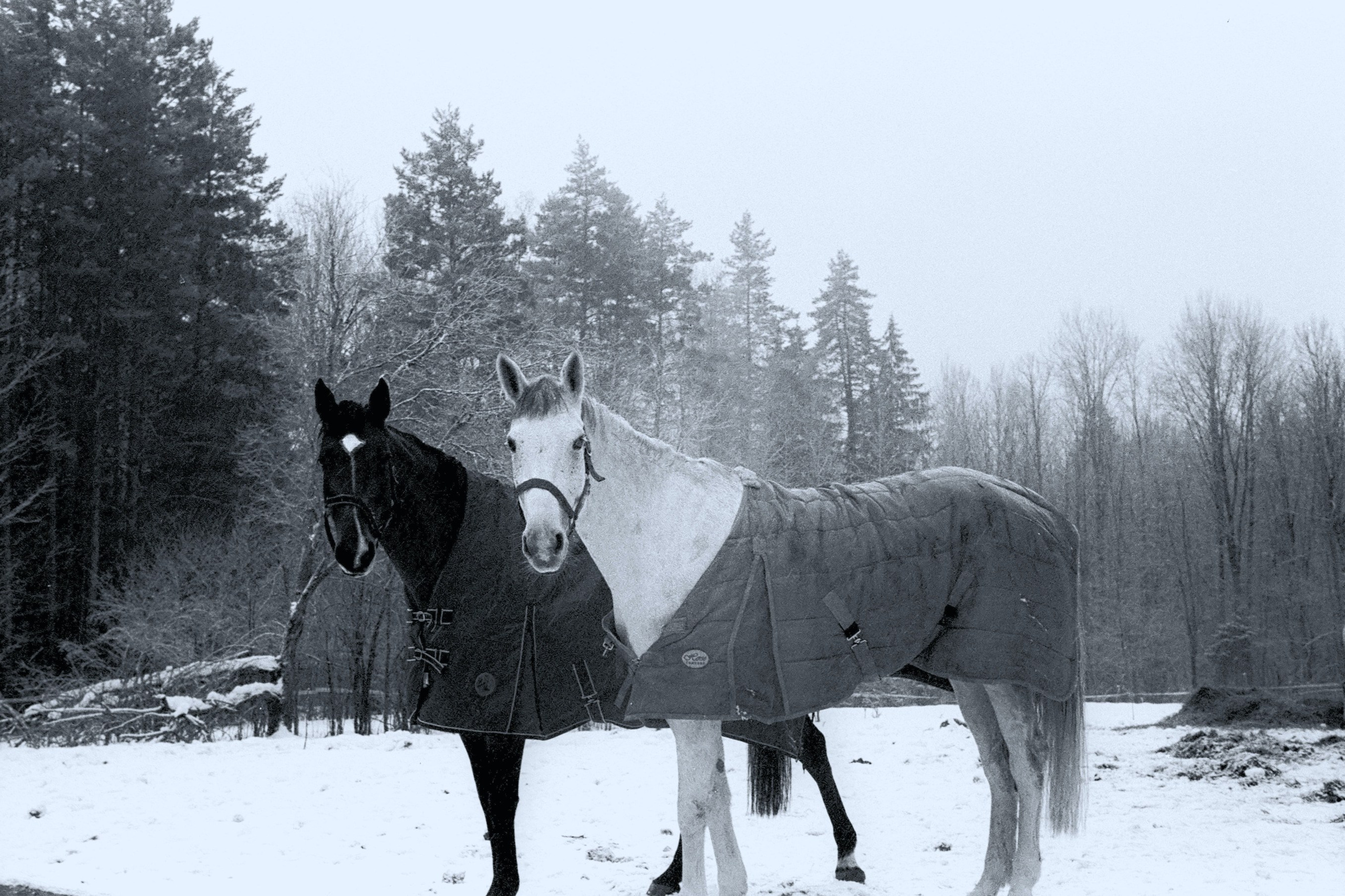 Пленочная фотография Олег Кузнецов. Artkapella|Олег Кузнецов