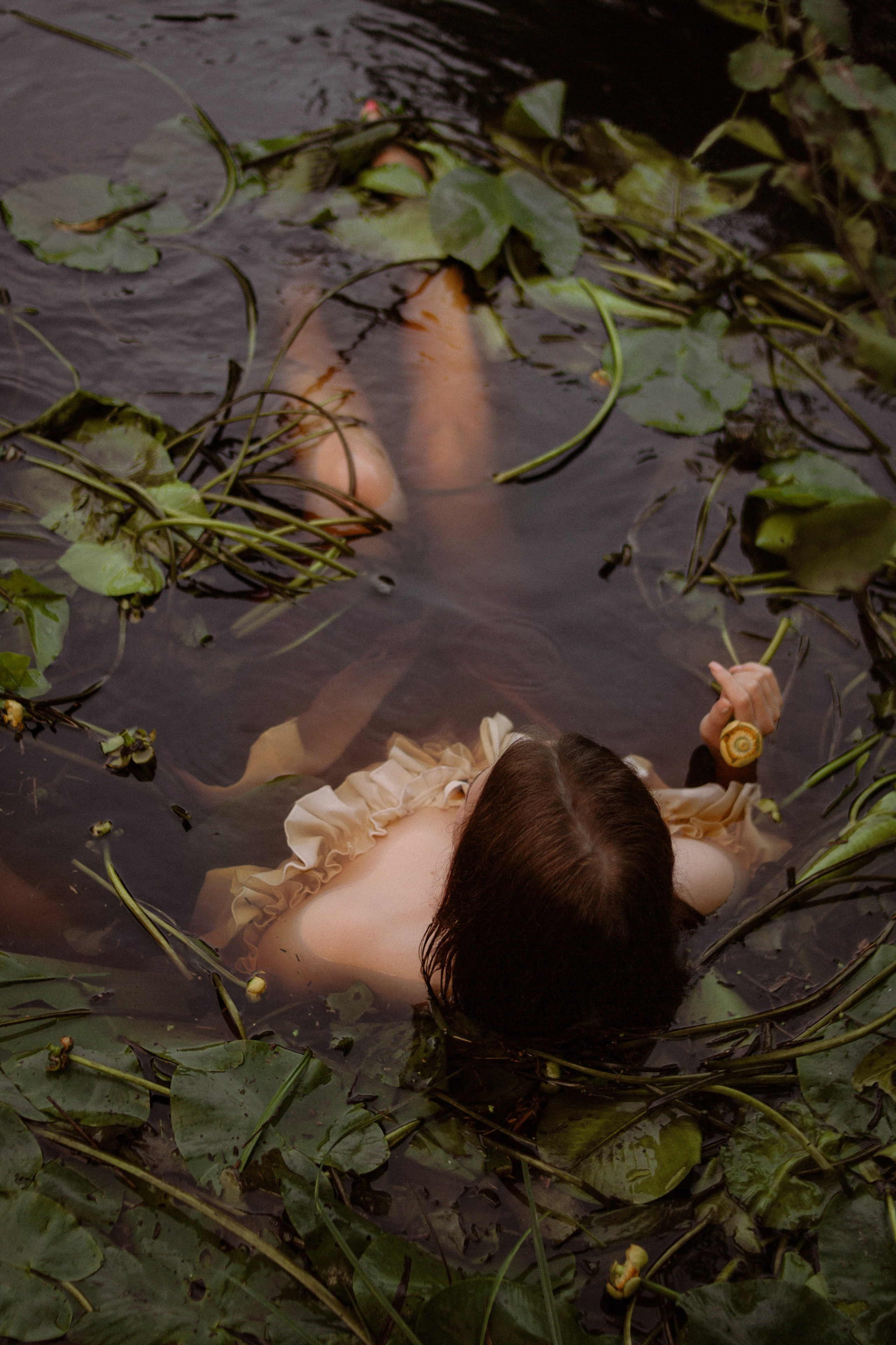 Кувшинки. Создадим шедевр? Виталина и её фотоискусство