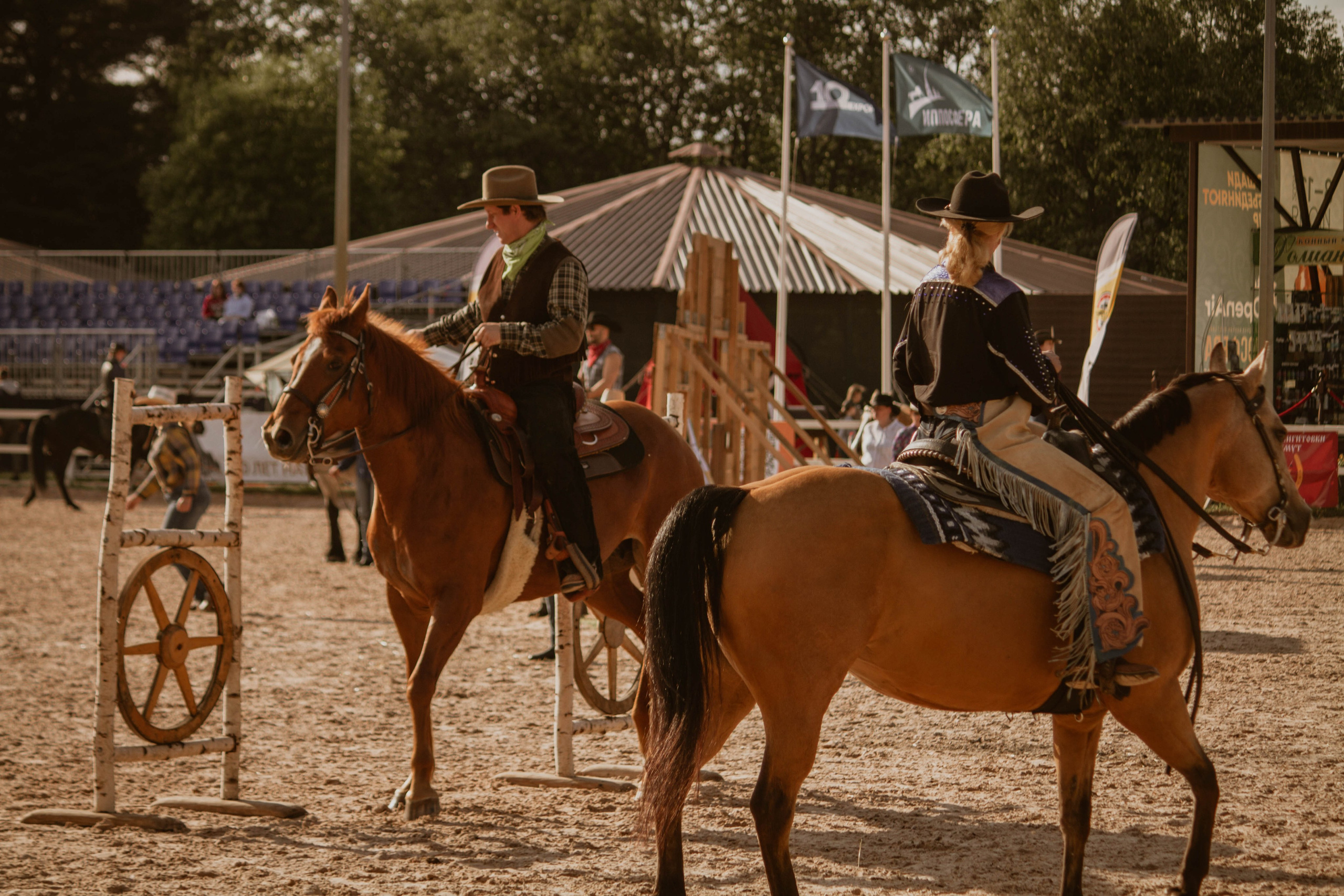 ИППОСФЕРА — Международная конная выставка. Создадим шедевр? Виталина и её фотоискусство