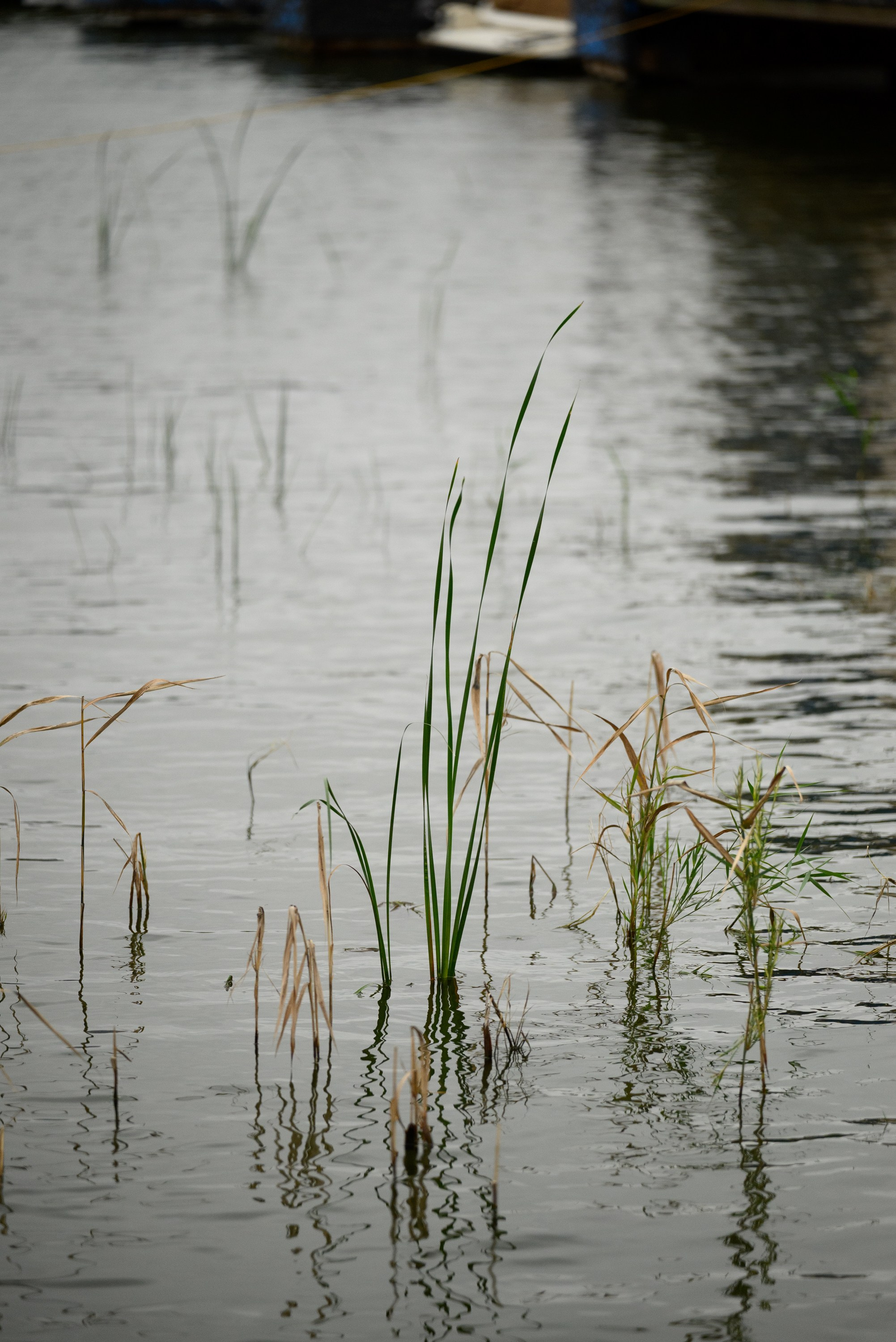 Яхт-клуб. Свадебный фотограф Ижевск Петр Шишков