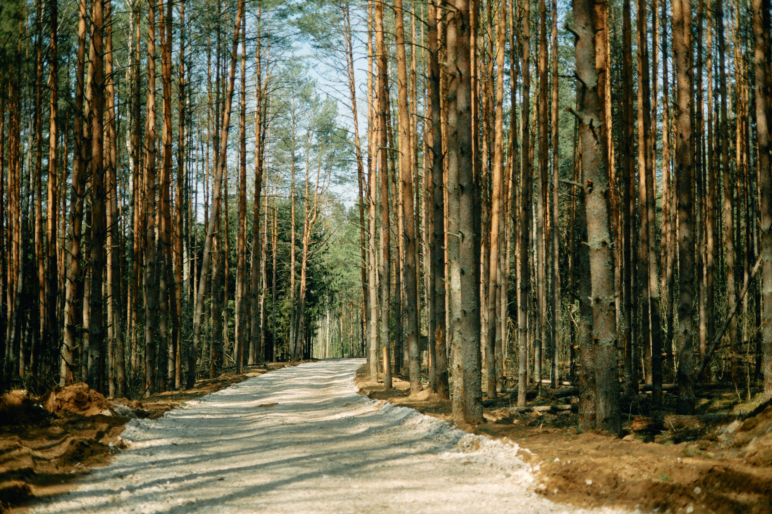 Бутик-отель Поле летом. Профессиональный Фотограф во Владимире, в Москве и в Суздале — Полина Романычева