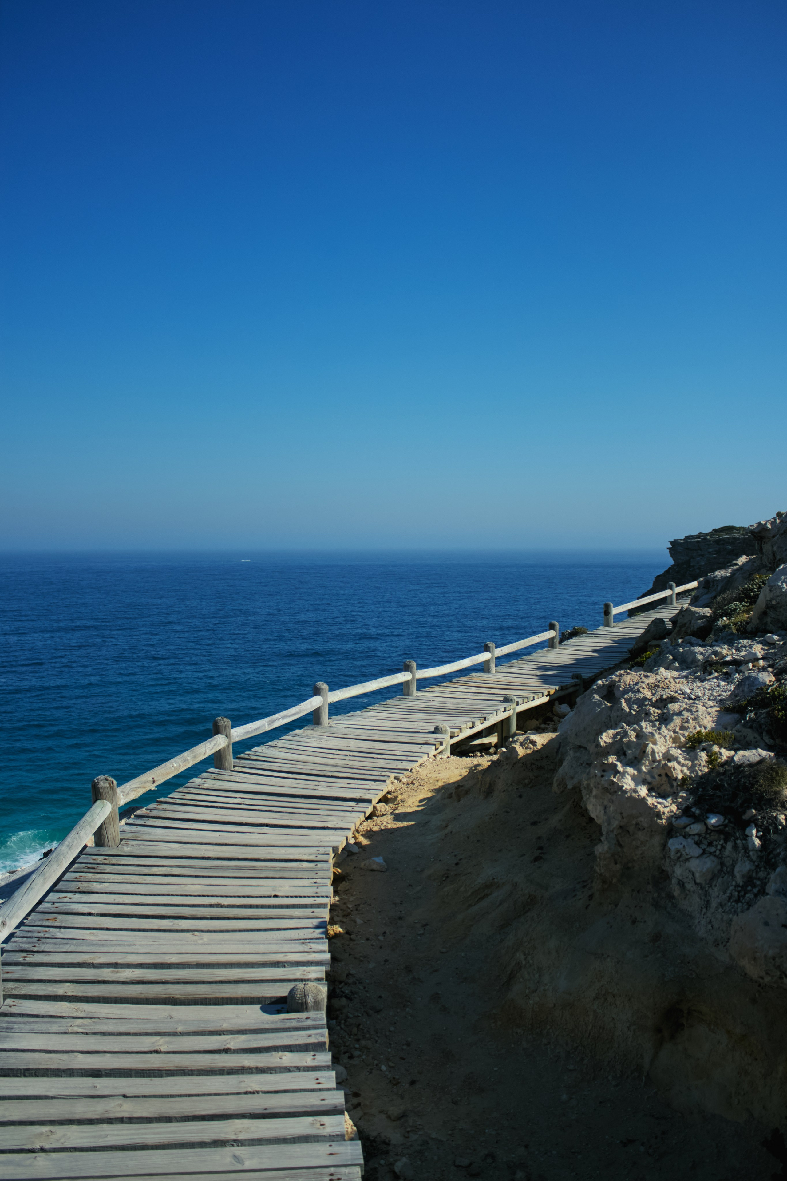 ЮАР. Профессиональный Фотограф во Владимире, в Москве и в Суздале — Полина Романычева