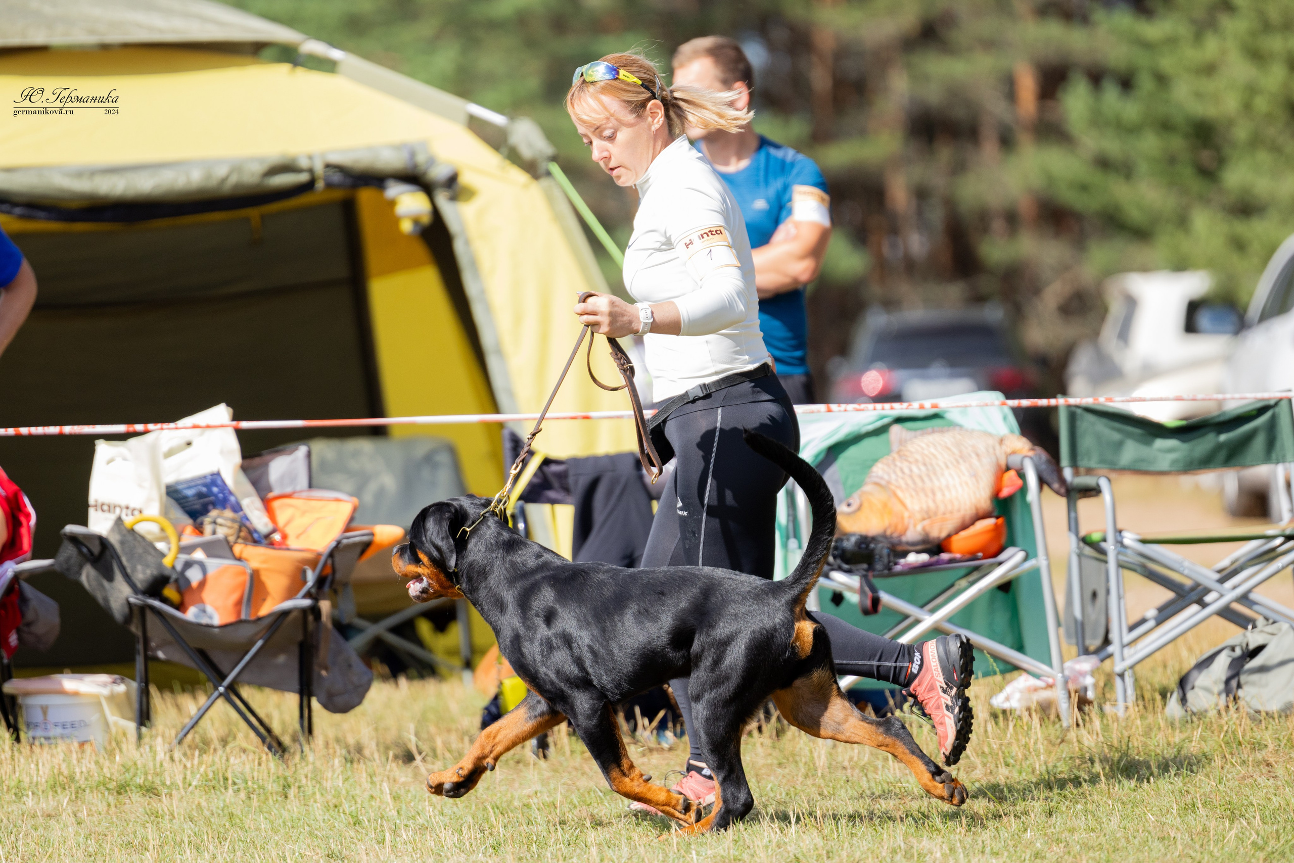 ПК и КЧК ротвейлеры Тверь 6-7.07.2024. Фотограф-анималист Юлия Германика