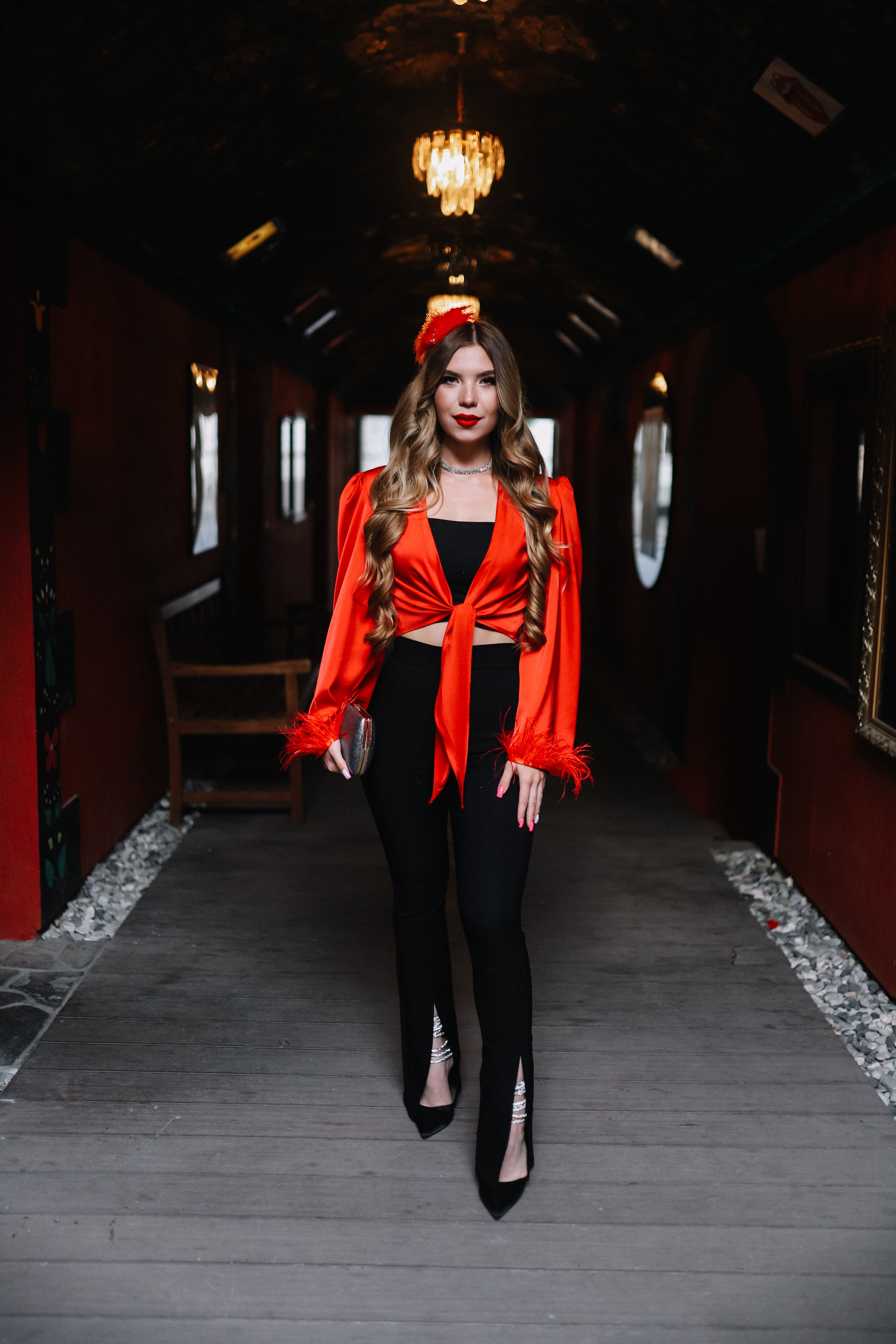 25.Диана и гости