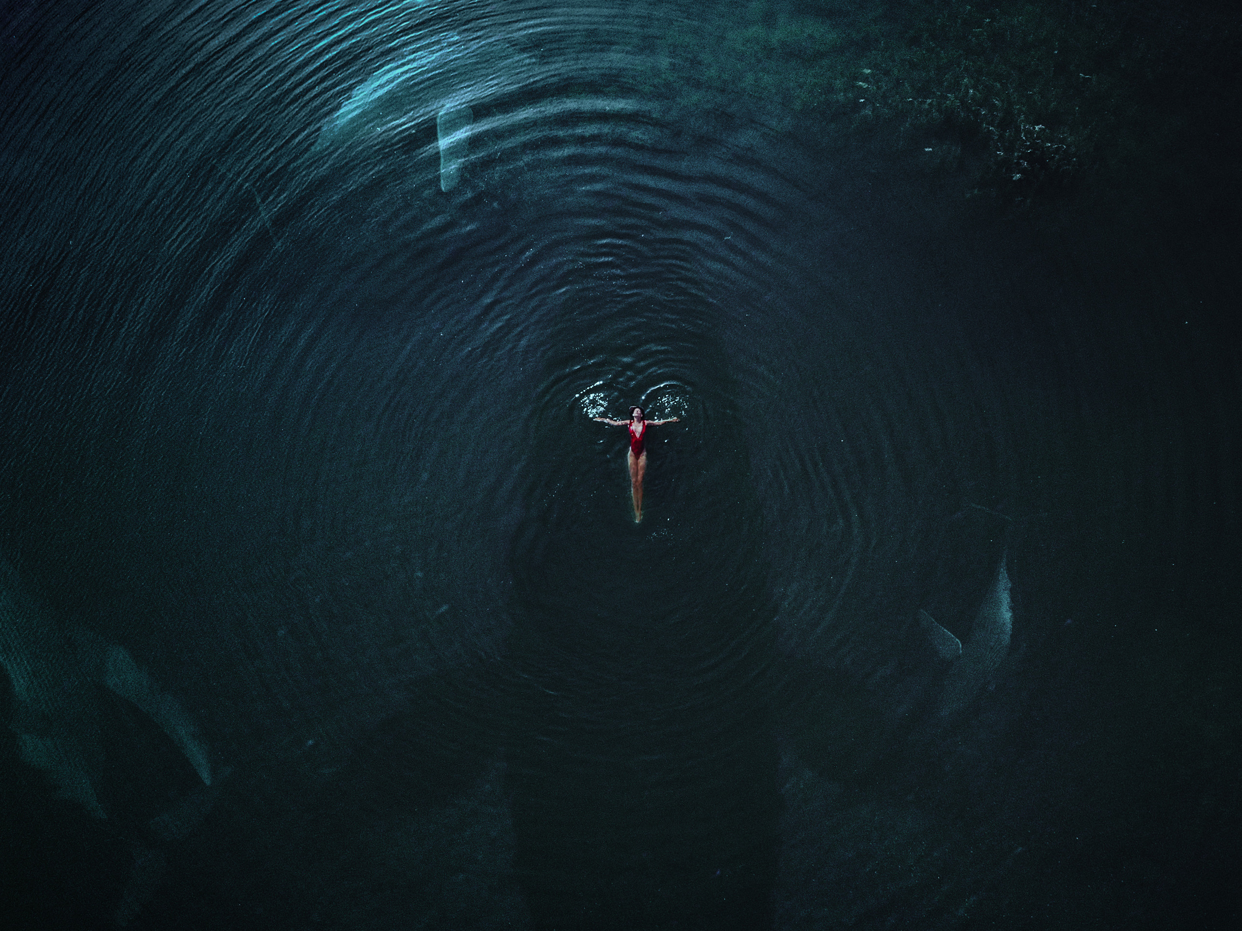 Профессиональный фотограф Николай Рождественский. Москва, Омск, Тюмень