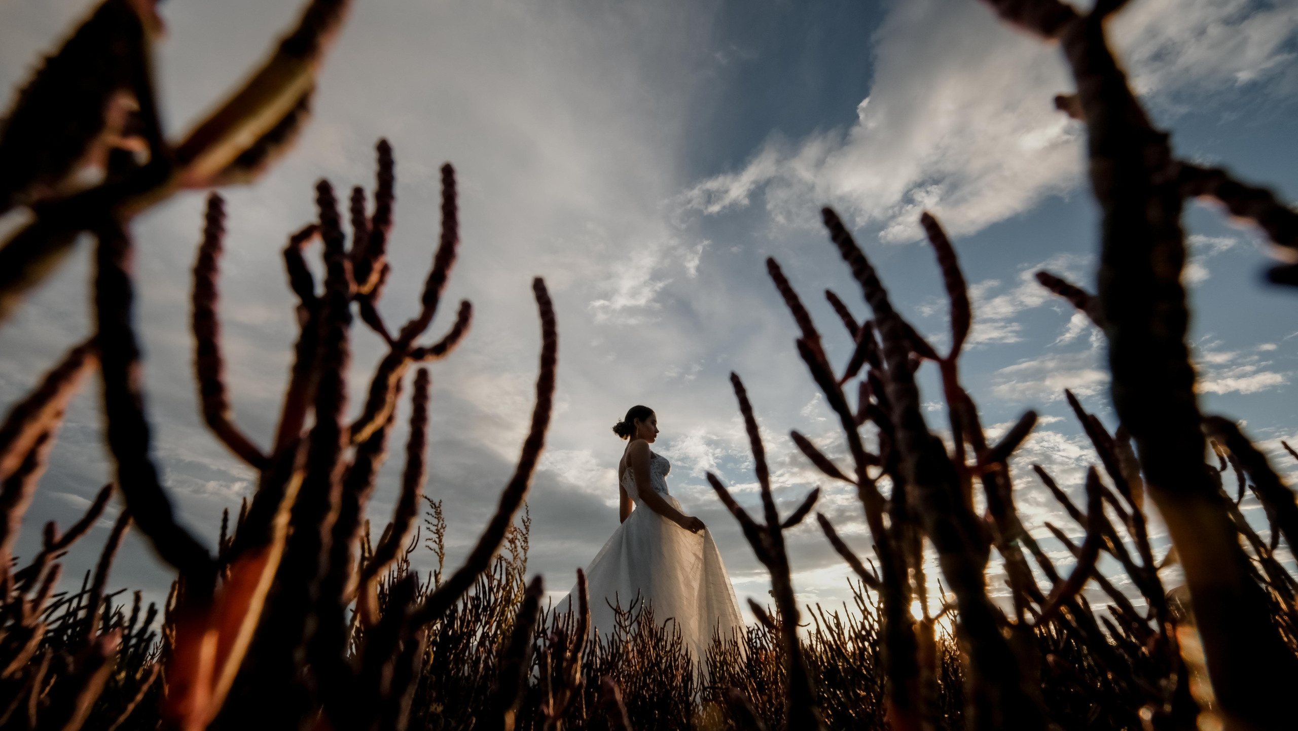 Съемка свадеб. Профессиональный фотограф Николай Рождественский. Москва, Омск, Тюмень