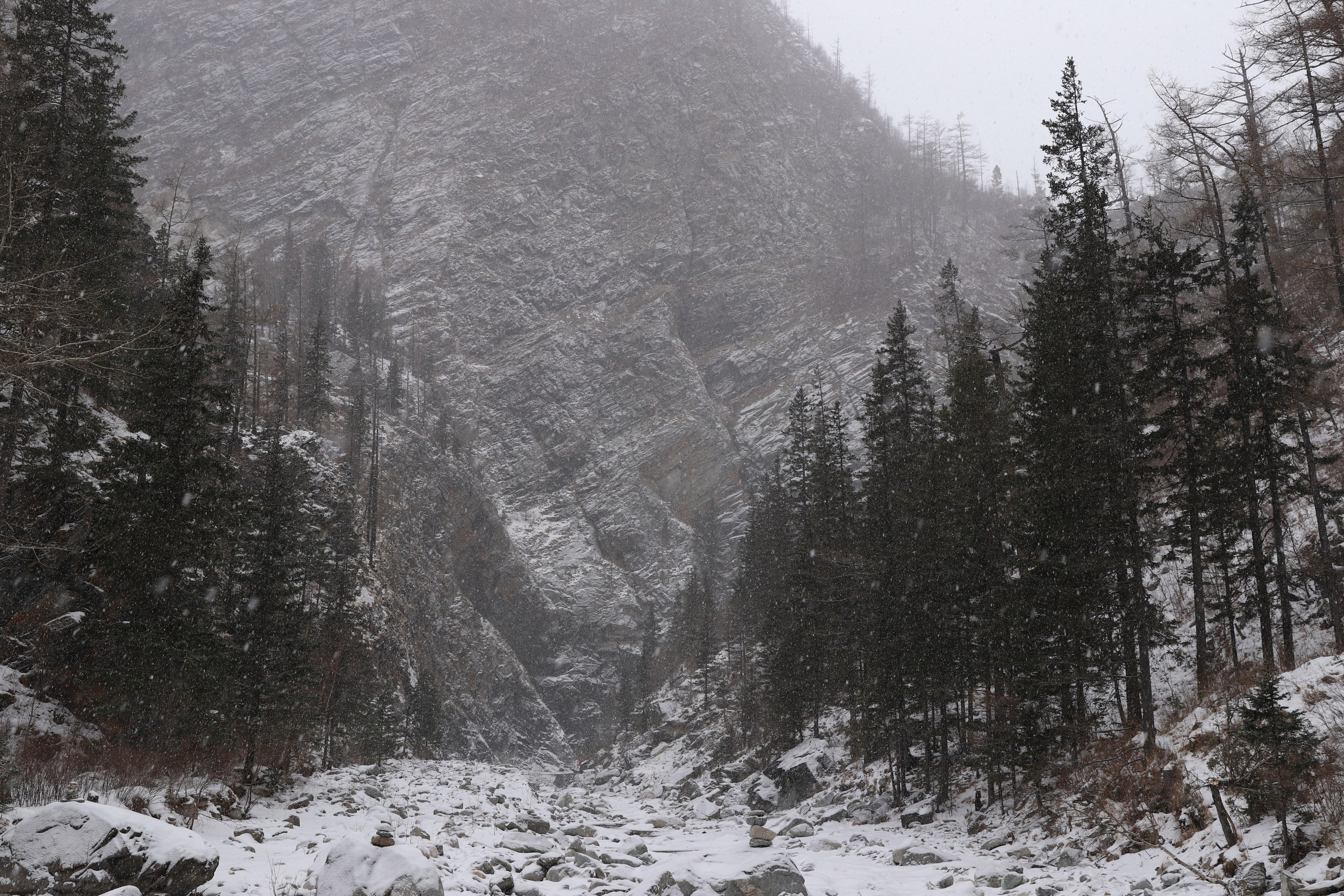 Аршан. Январь 2024. Путешественник-фотограф из Санкт-Петербурга Татьяна Свистулина