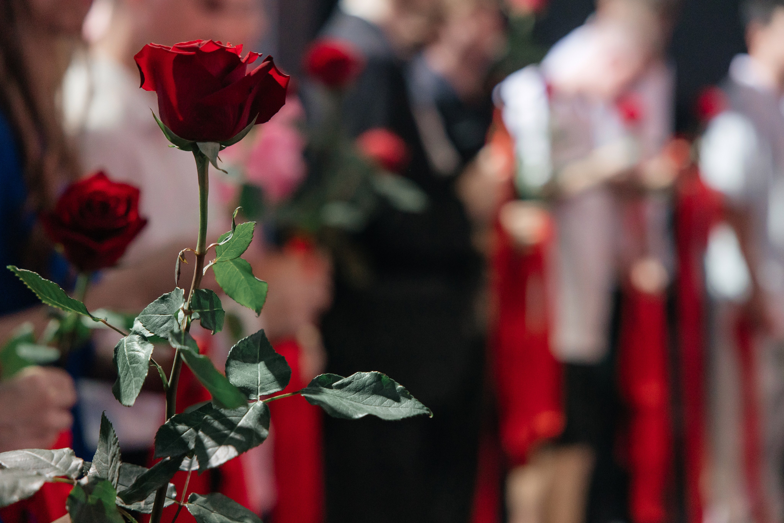 2025 Выпускной школа 34. Свадебный и Репортажный фотограф Нижний Новгород Москва Ежов Иван