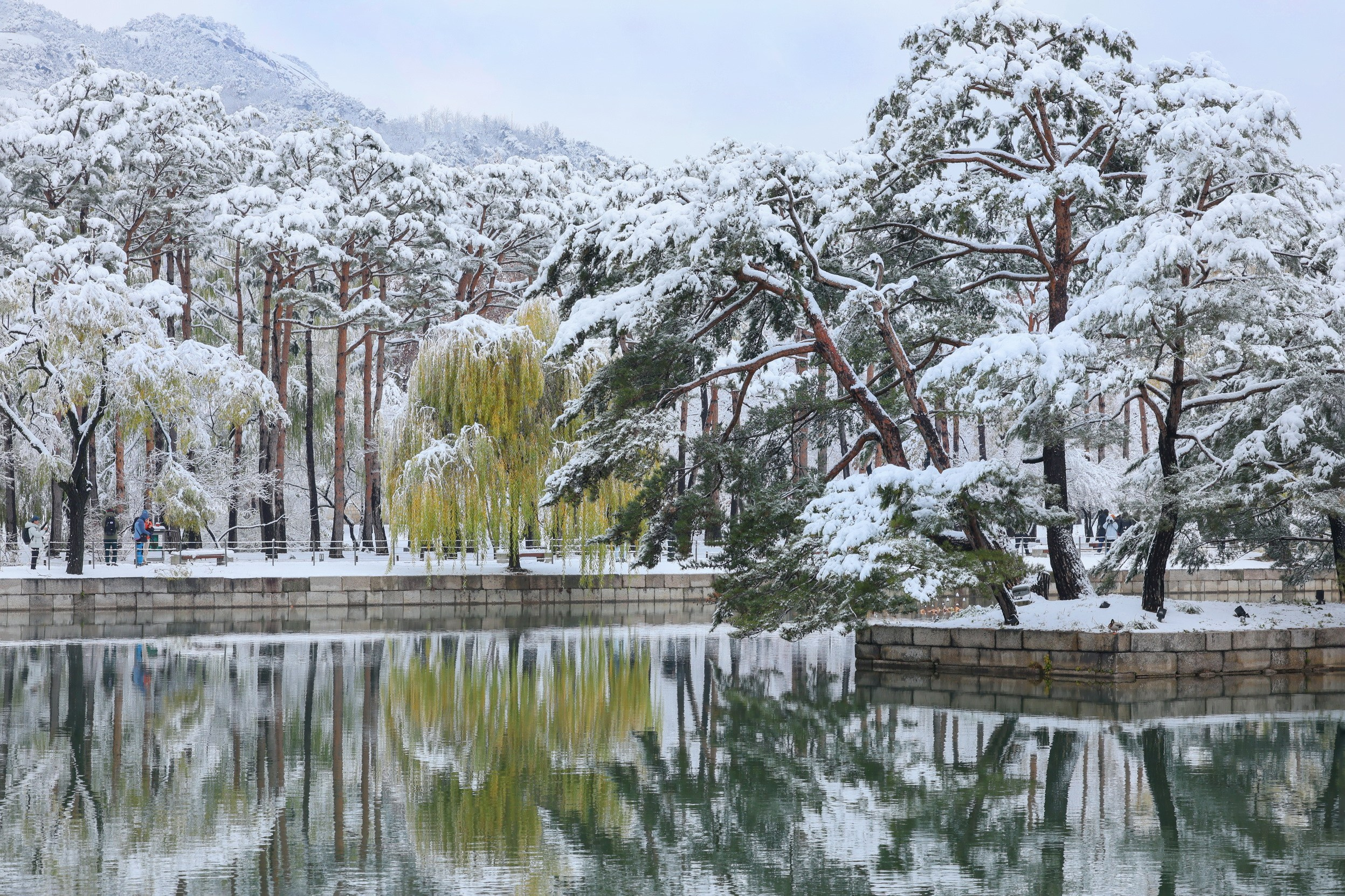 Водные сады. Ландшафтный фотограф Андрей Лысиков, Москва