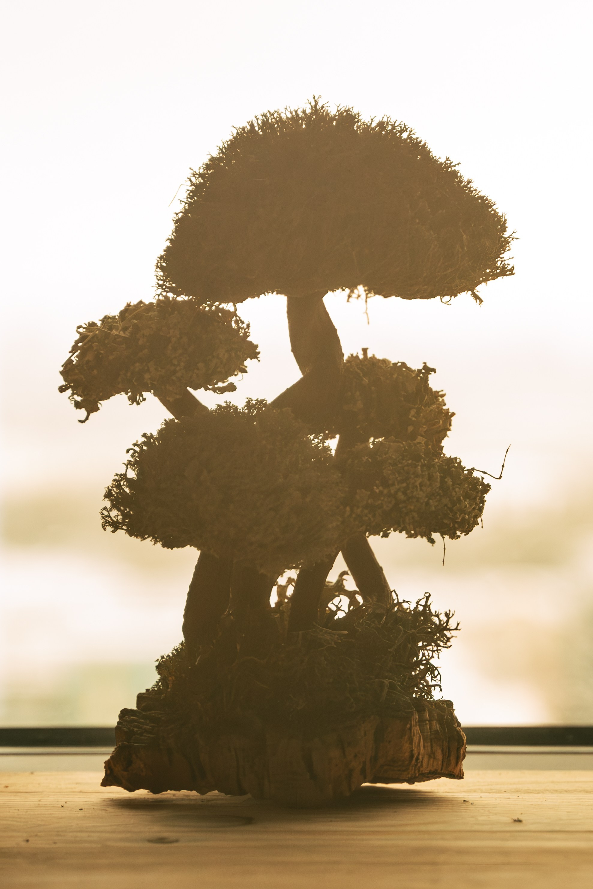 Индивидуальная съёмка для Айдара Гафурова. Фотограф/видеограф Богдан Голованов