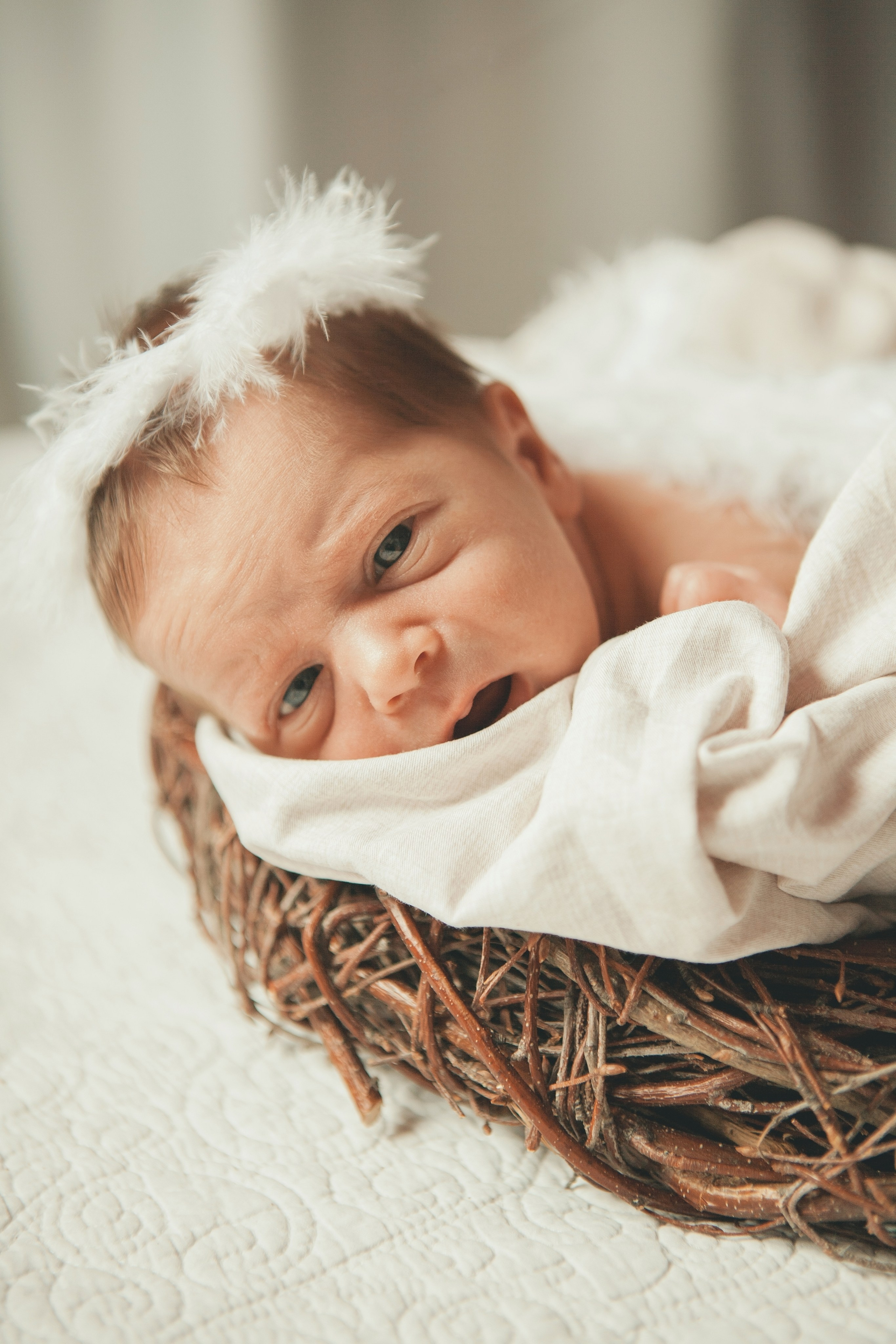 Гордей. Фотограф Ольга Ефремова