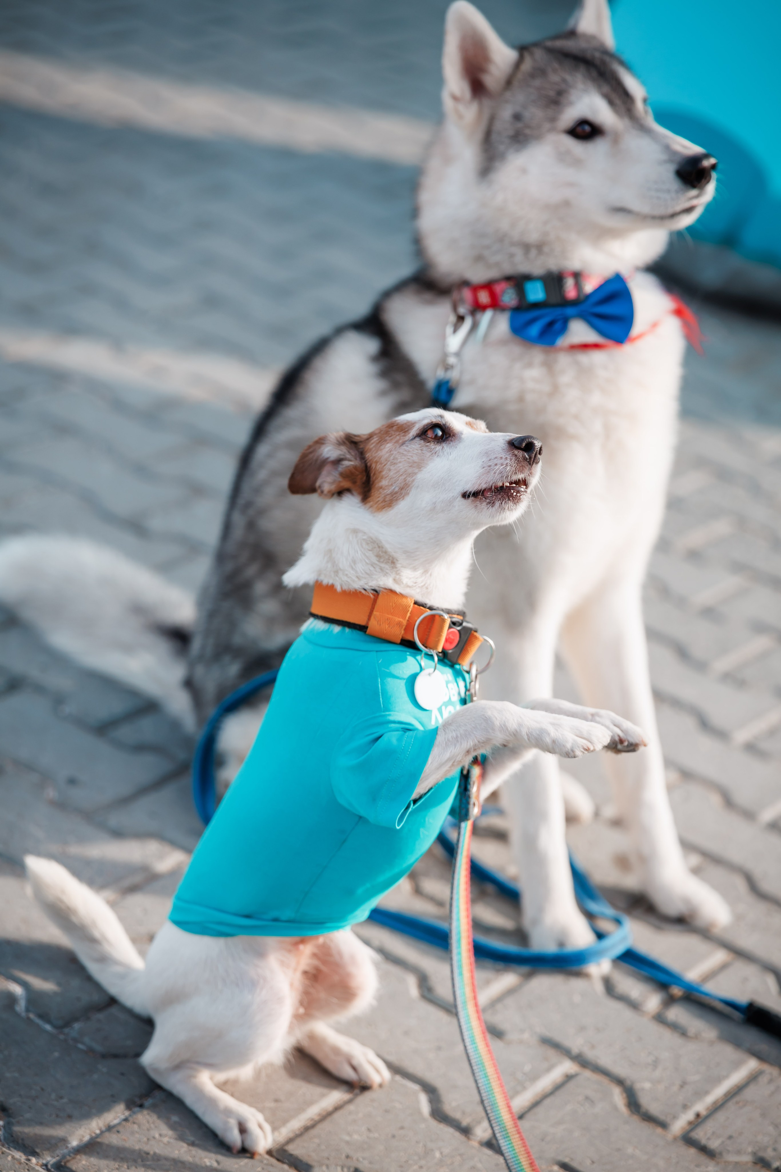 Новые люди. Измайлова Ольга. Фотограф в Самаре. Репортаж, бизнес, индивидуальные съёмки