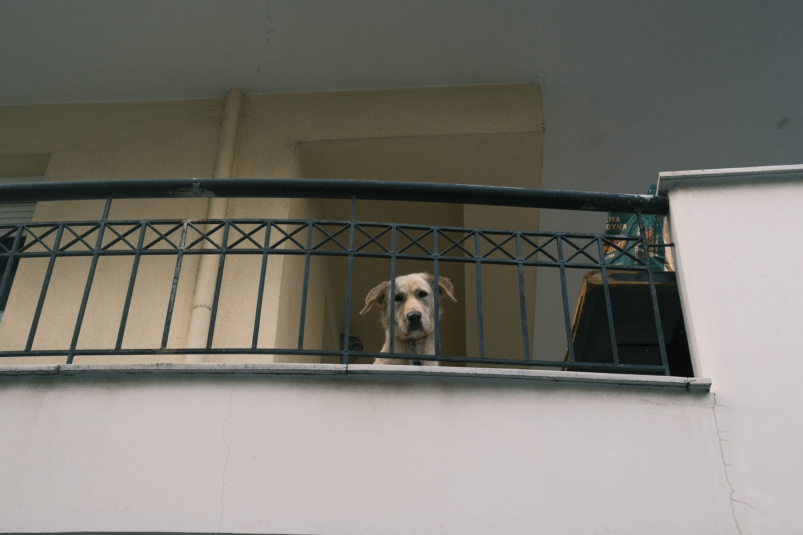 Фотографии Салоник | Филипп Линзин. Репортажный и портретный фотограф в Санкт-Петербурге Филипп Линзин