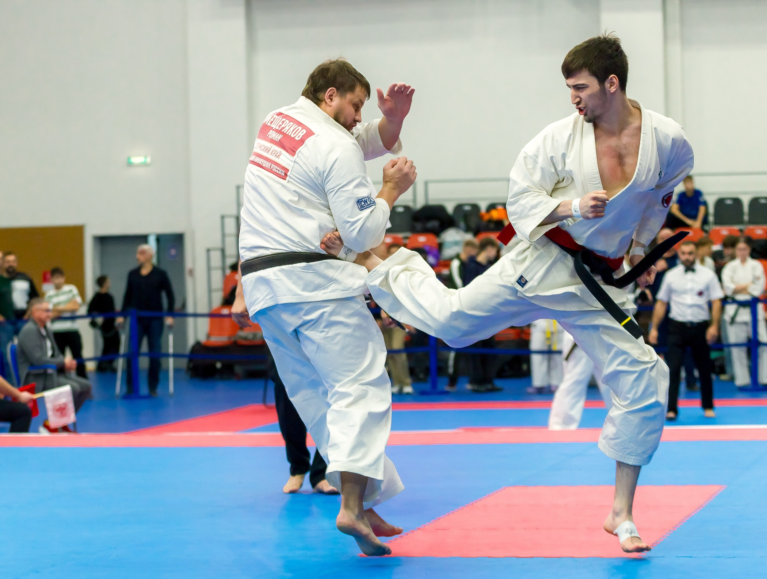 Соревнования по Киокушин памяти С. Увицкого. Репортажная съемка в Москве и области. Анималистика