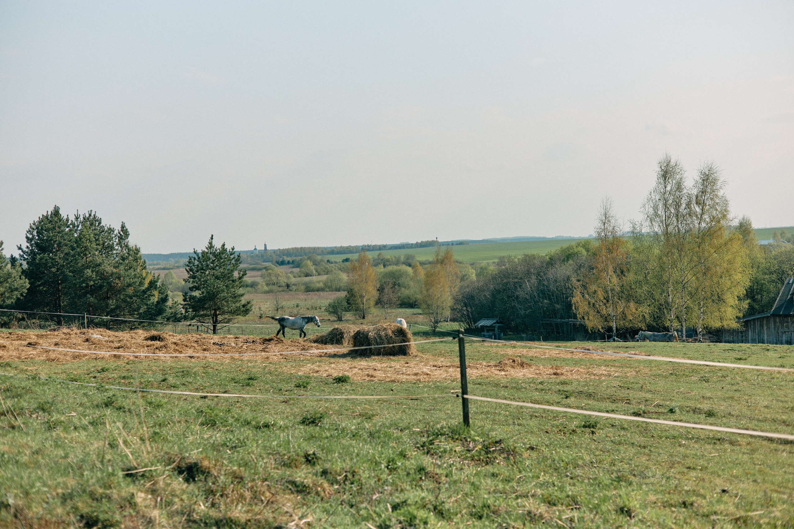 Бутик-отель Поле летом. Профессиональный Фотограф во Владимире, в Москве и в Суздале — Полина Романычева