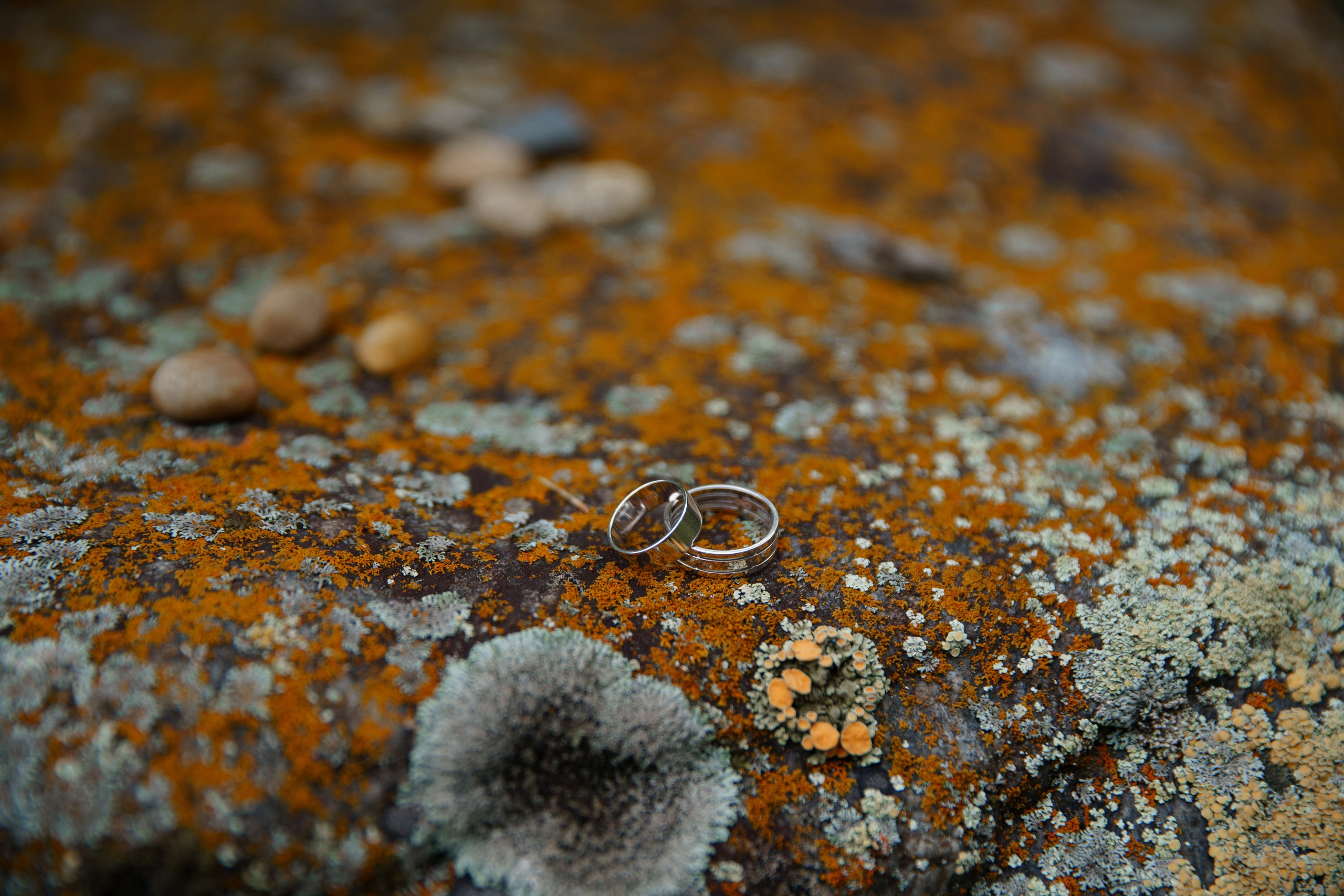 ALTAI. Фотограф в Москве и по всему миру — Олег Акентьев (Events, Светская Хроника, FTP)