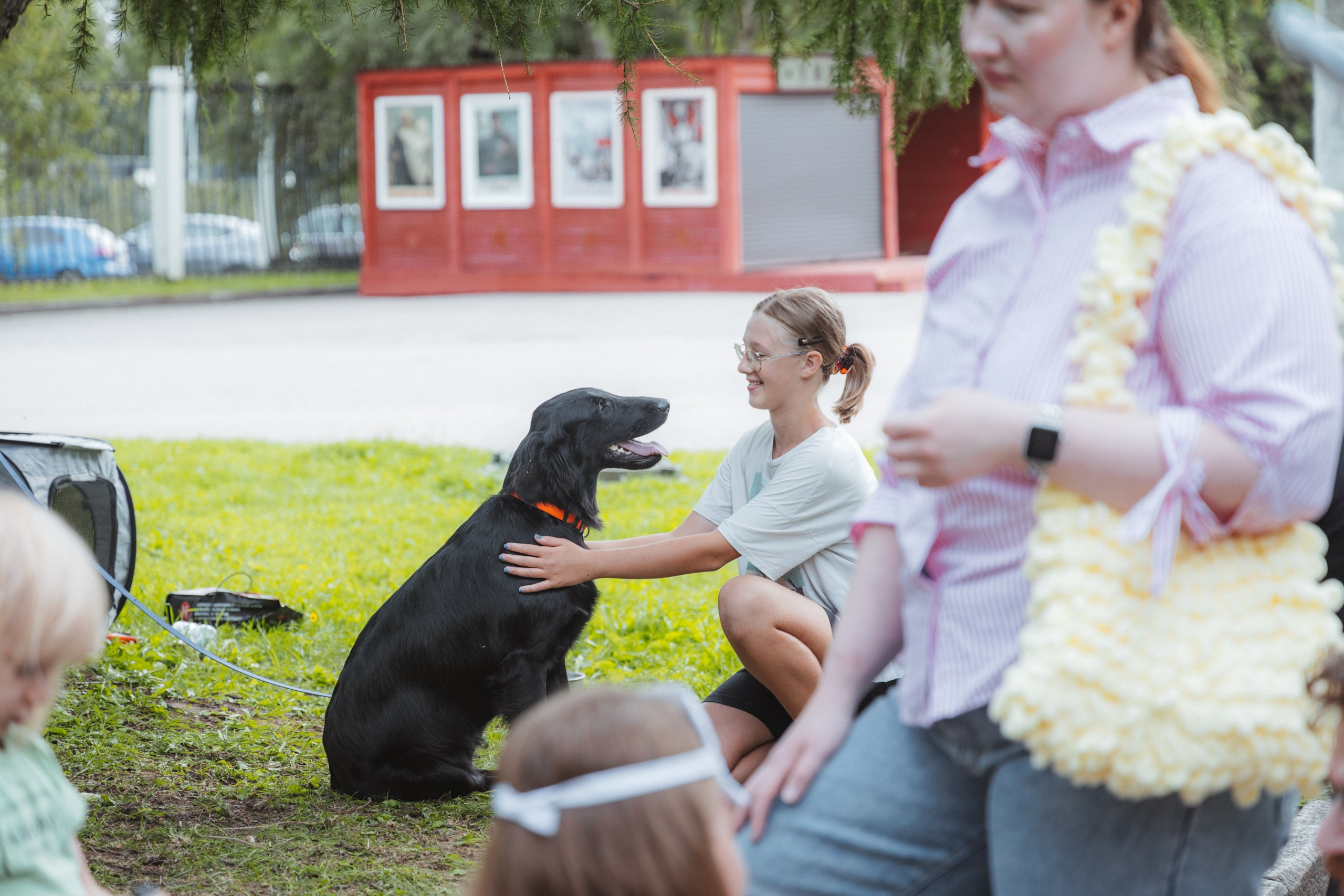 День Фронтовой Собаки (поисково-спасательные собаки). Фотограф Ирина Астор