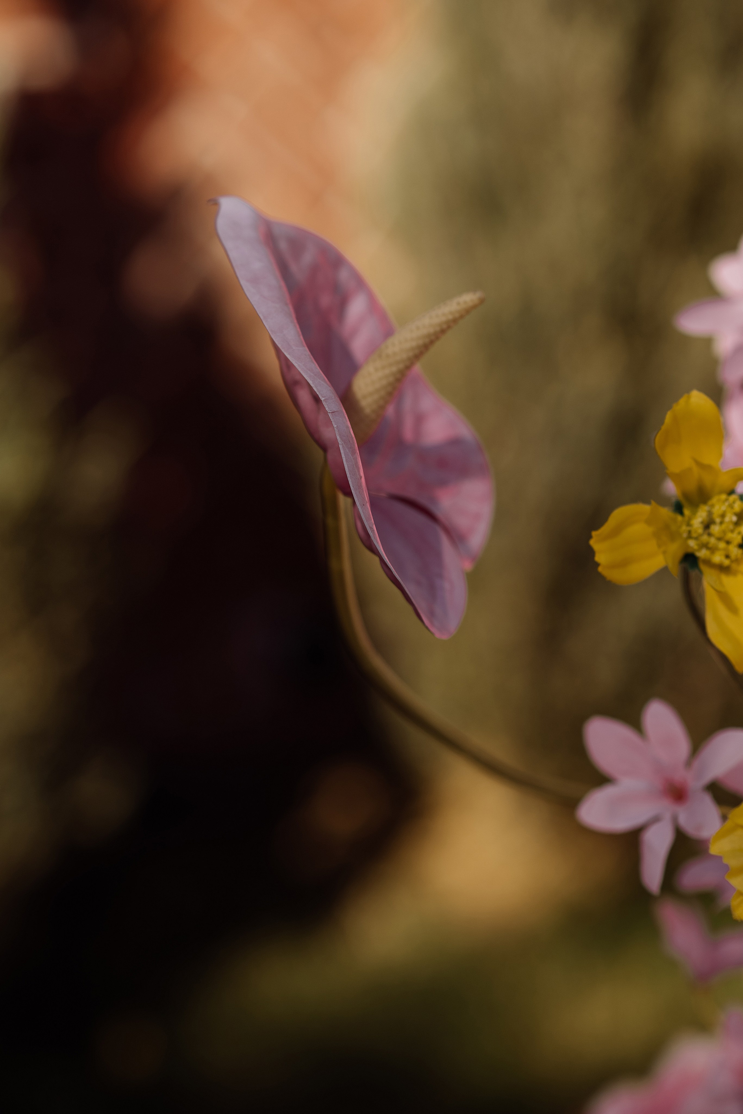 Максим и Лида. Свадебный и семейный фотограф в Ростове-на-Дону Алина Астахова