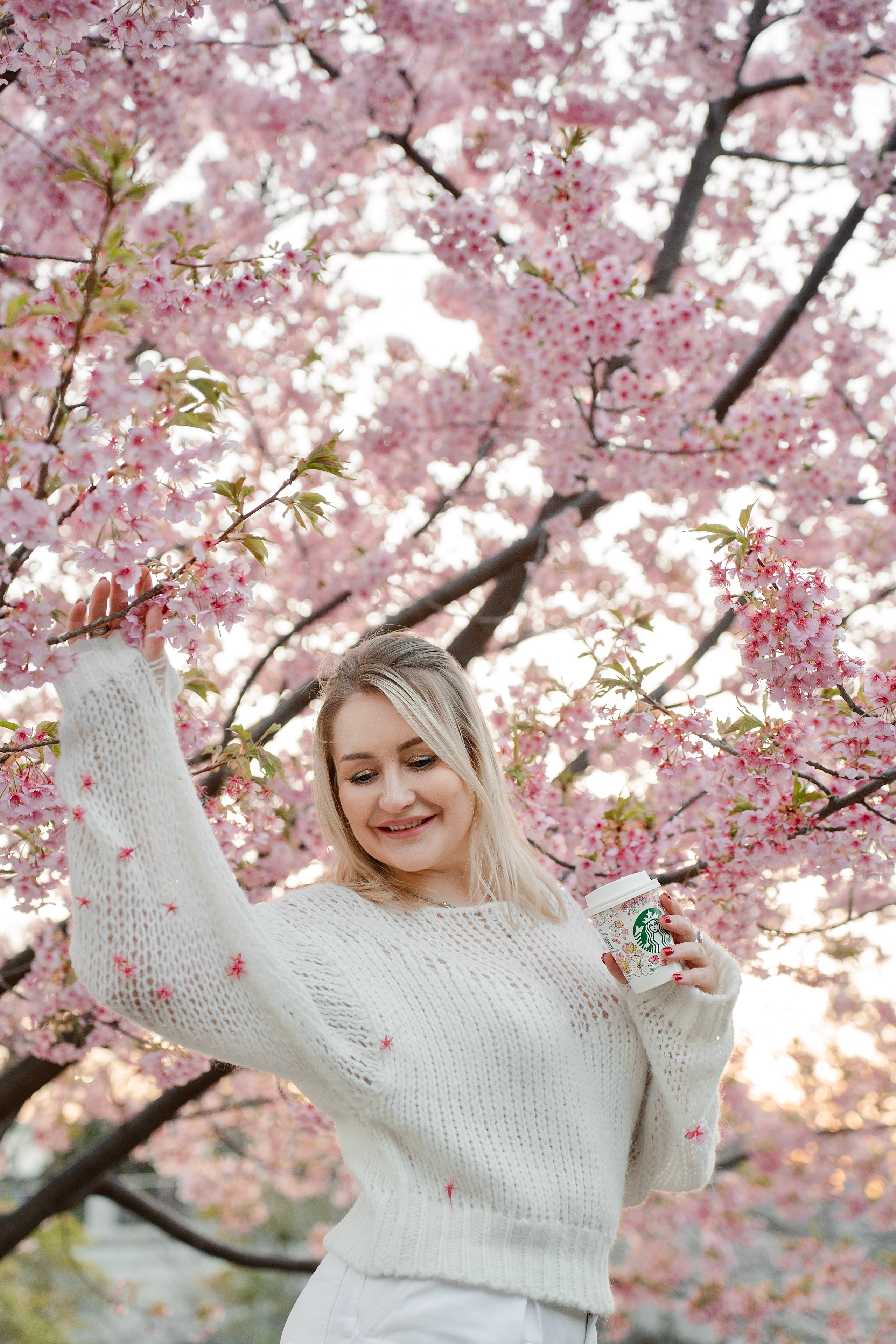 Sakura. Фотограф Алина Диева Москва | Токио