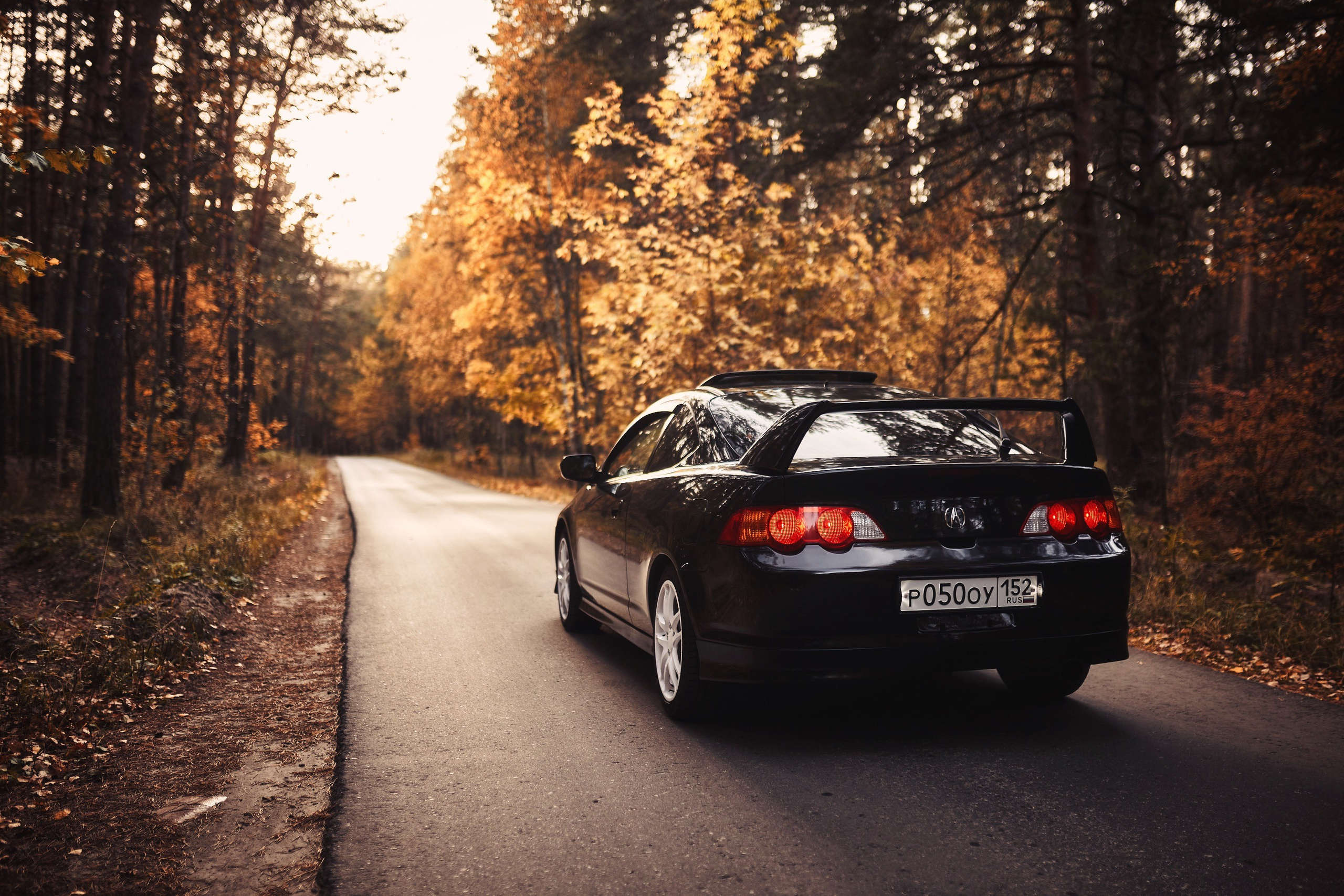Acura RSX. DKARPOCHEVA PHOTOGRAPHY