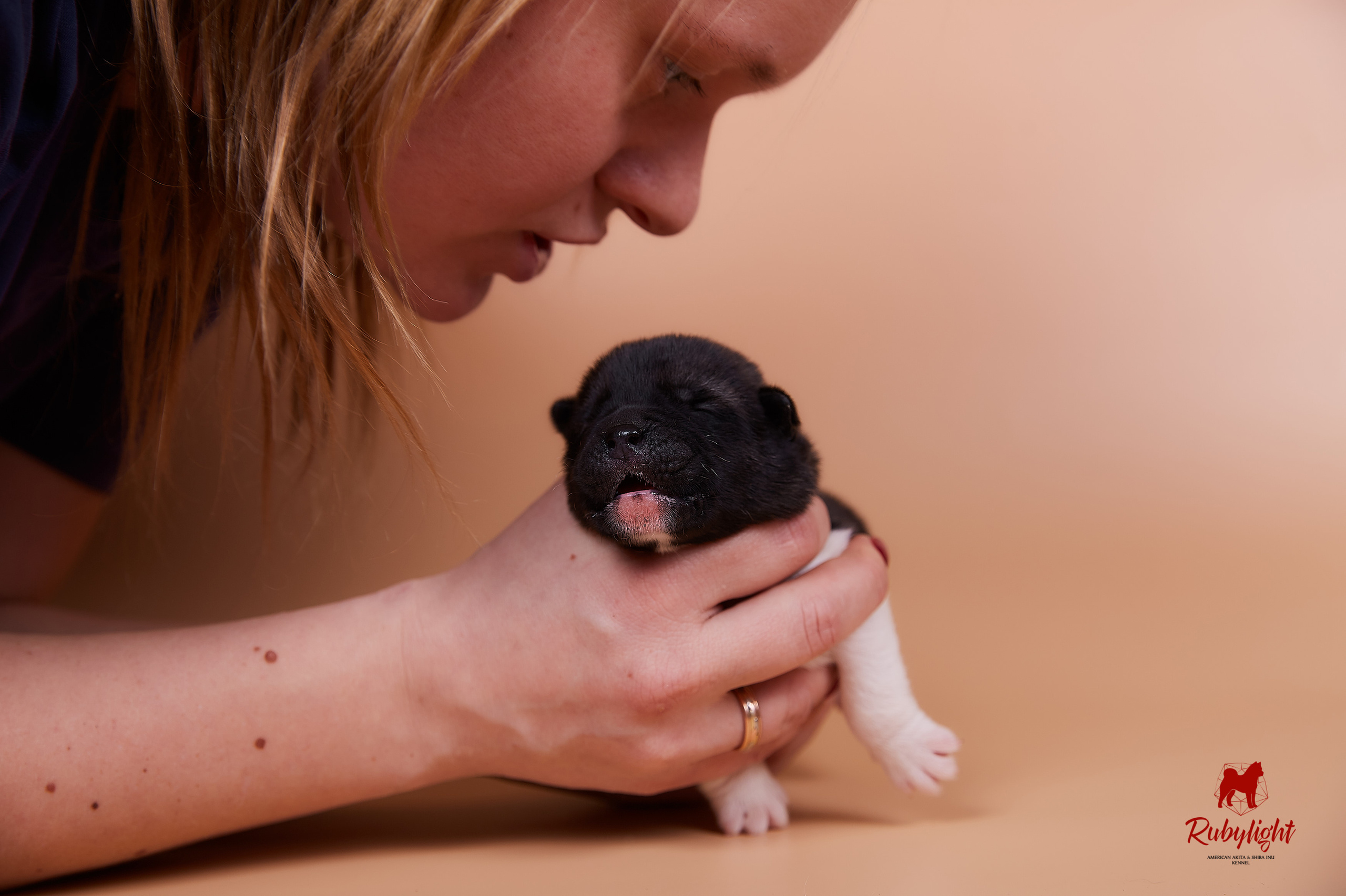 Щенки американской акиты в Санкт-Петербурге, Питомник Рубилайт Rubylight kennel 
Отец: IMAGINE DRAGON (Ruthdales Makin A Statement & Dancing Queen) 
Мать: INFINIT HAPPY (Restyl-ing Paradise Sander & Airish Cream)  