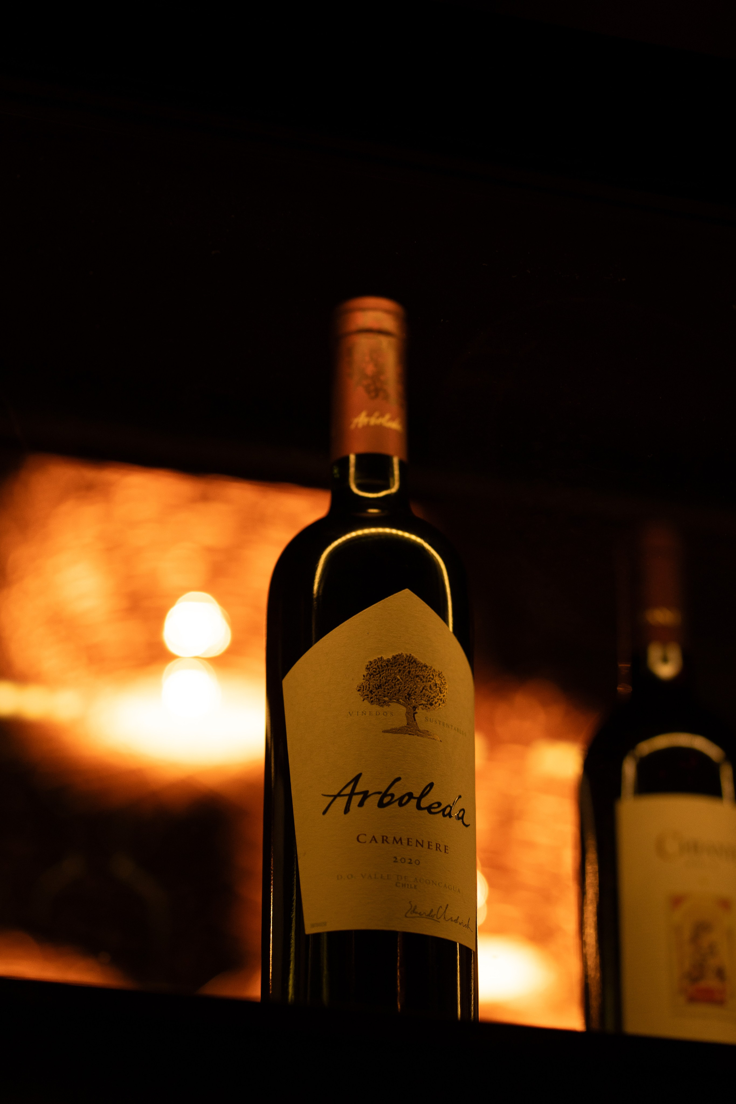 Рукс ШК. Анастасия Паршукова — фотограф Шерегеш Новосибирск