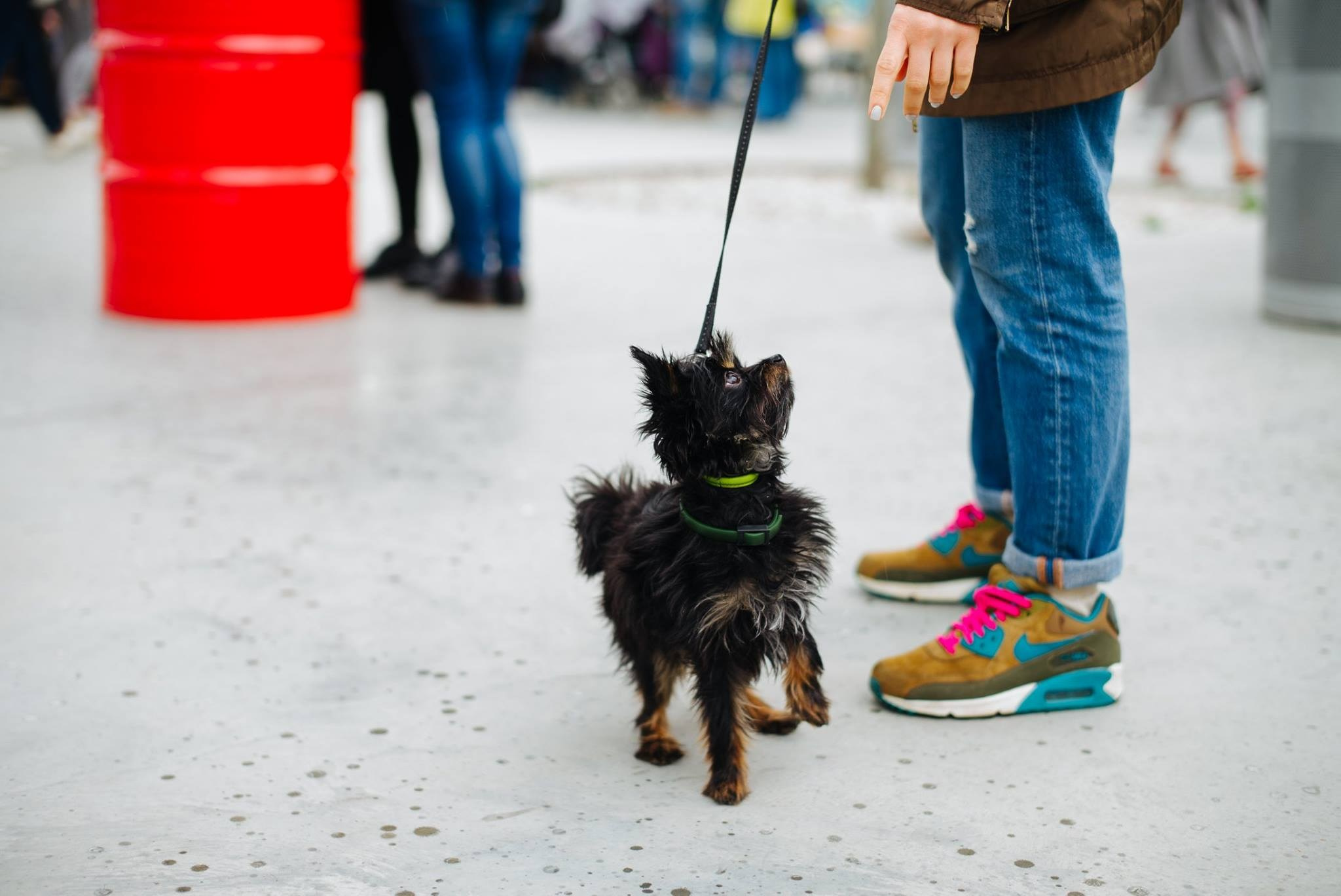 21 мая 2016 в музее «Гараж». Фотоотчеты «Ламбада-маркета»
