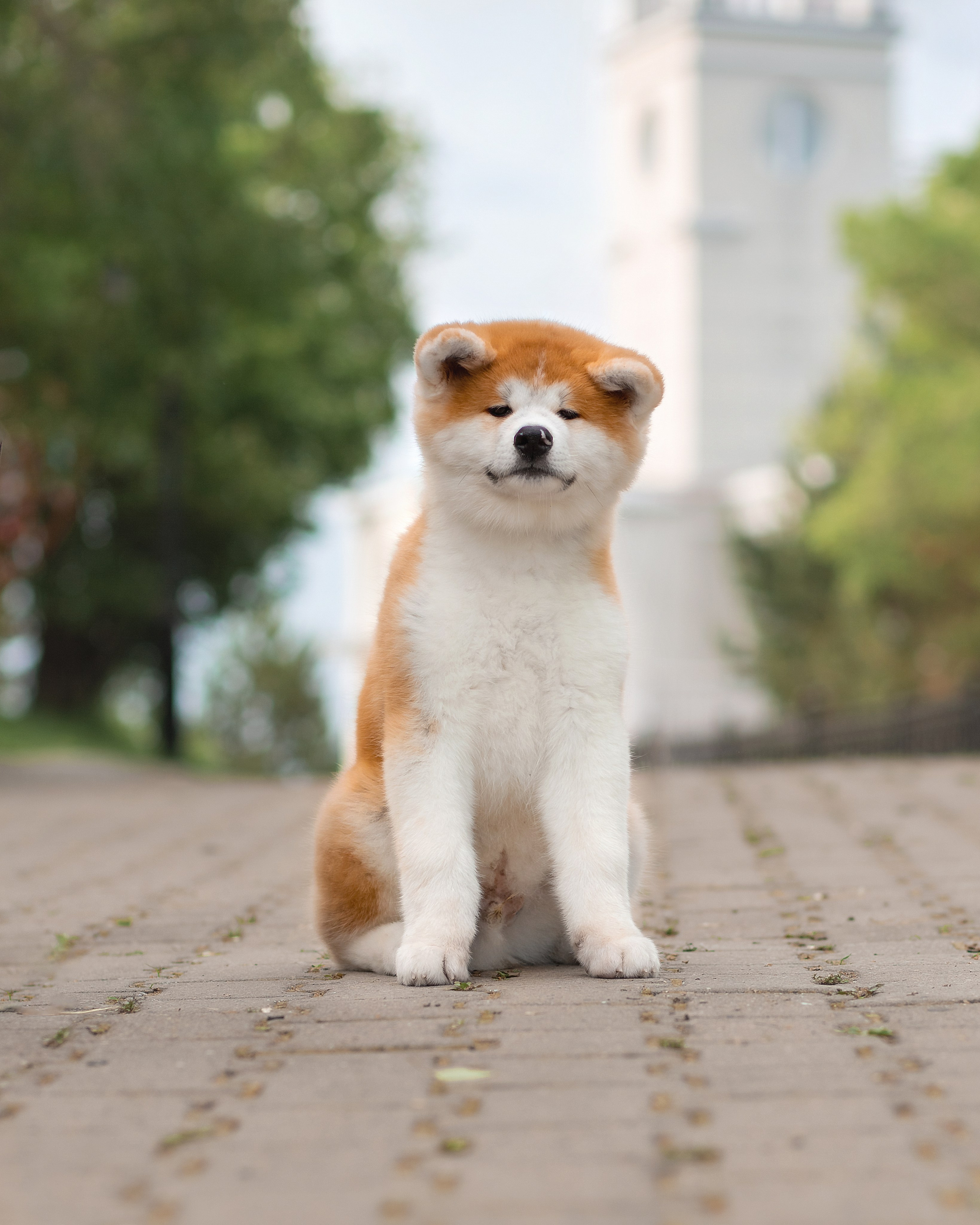 Предыдущие пометы. Алена Попова — фотограф в Хабаровске