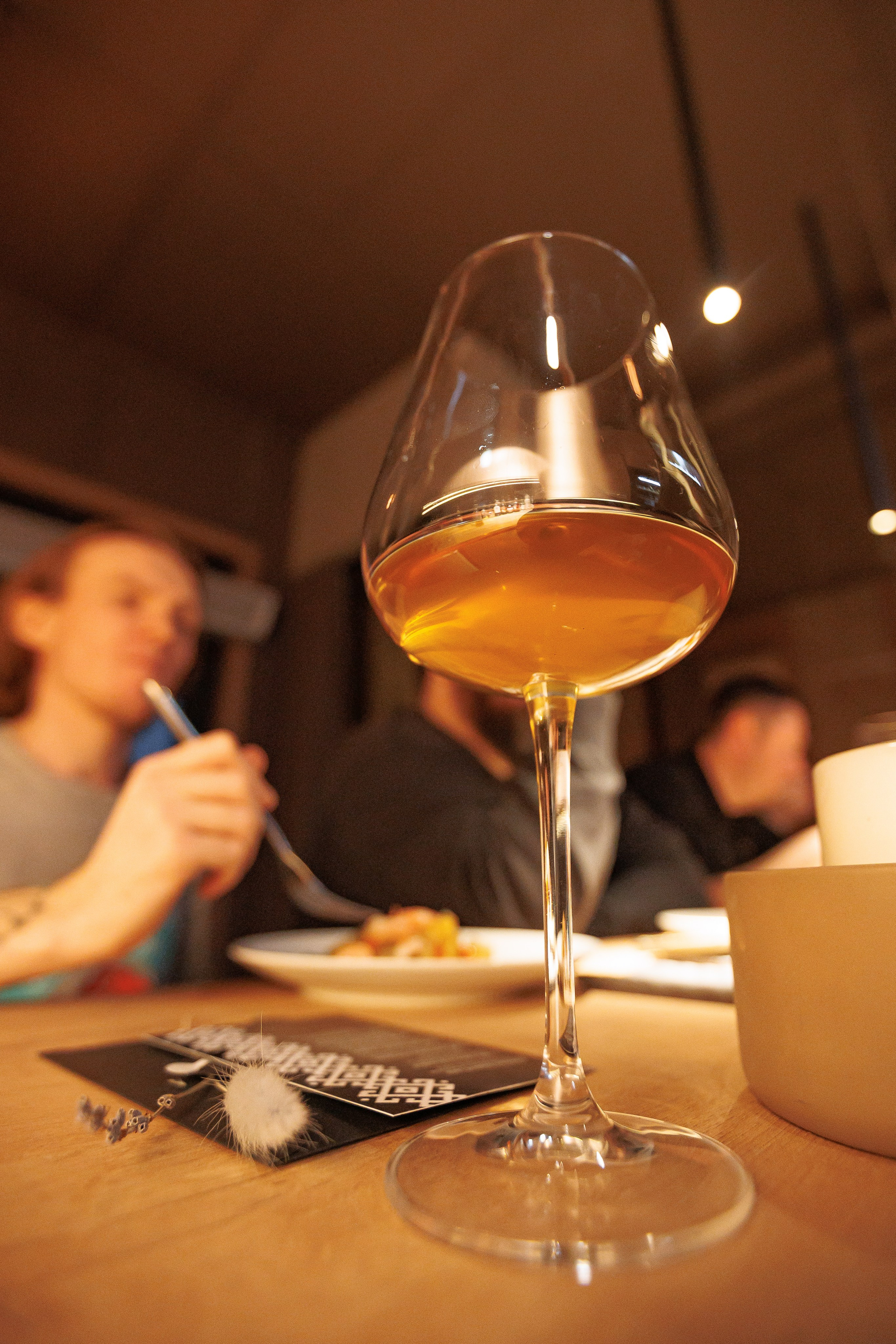 Гастроужин Поселенцы в гостях у Самозванцев