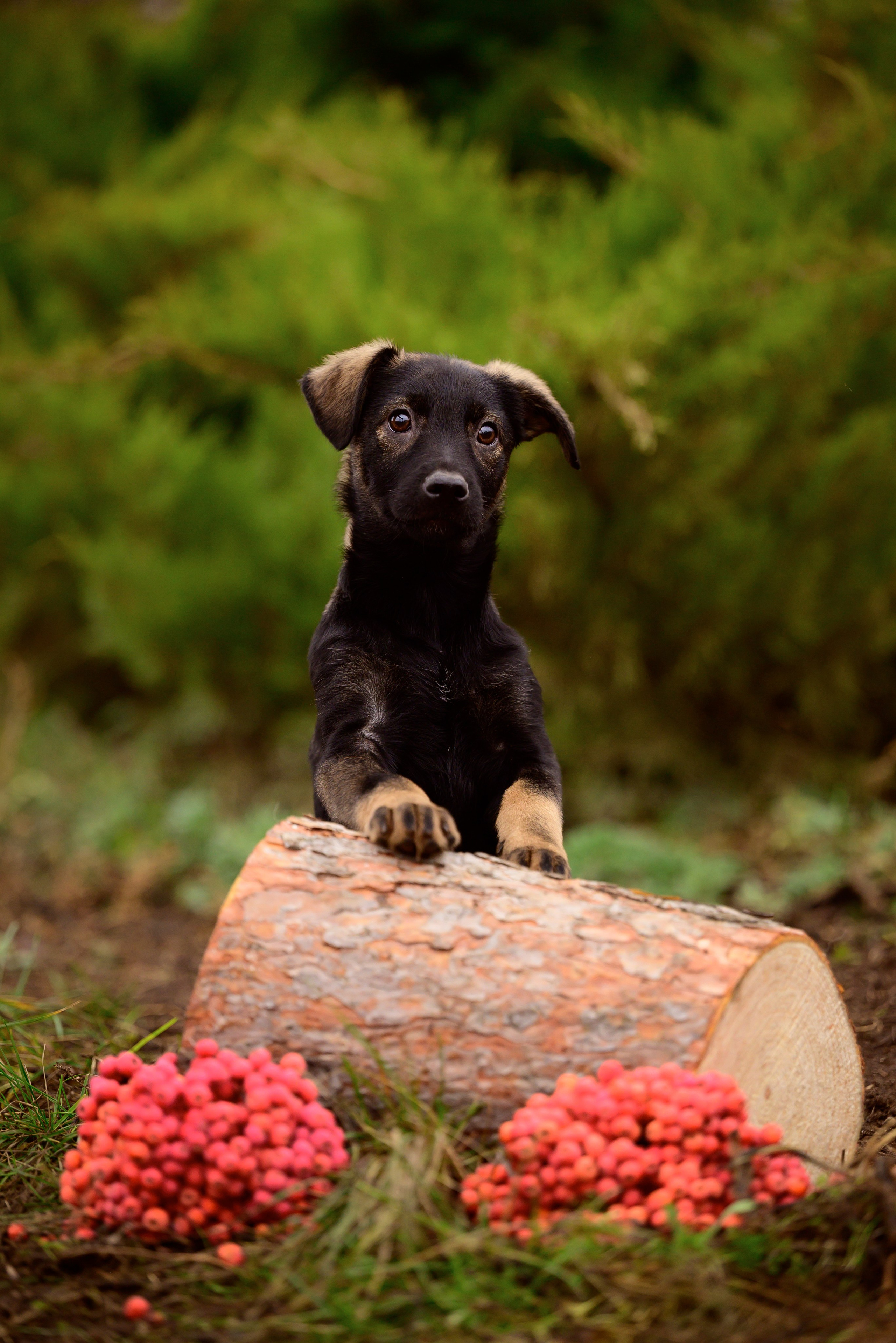 Круассанчики. Мила Астахова