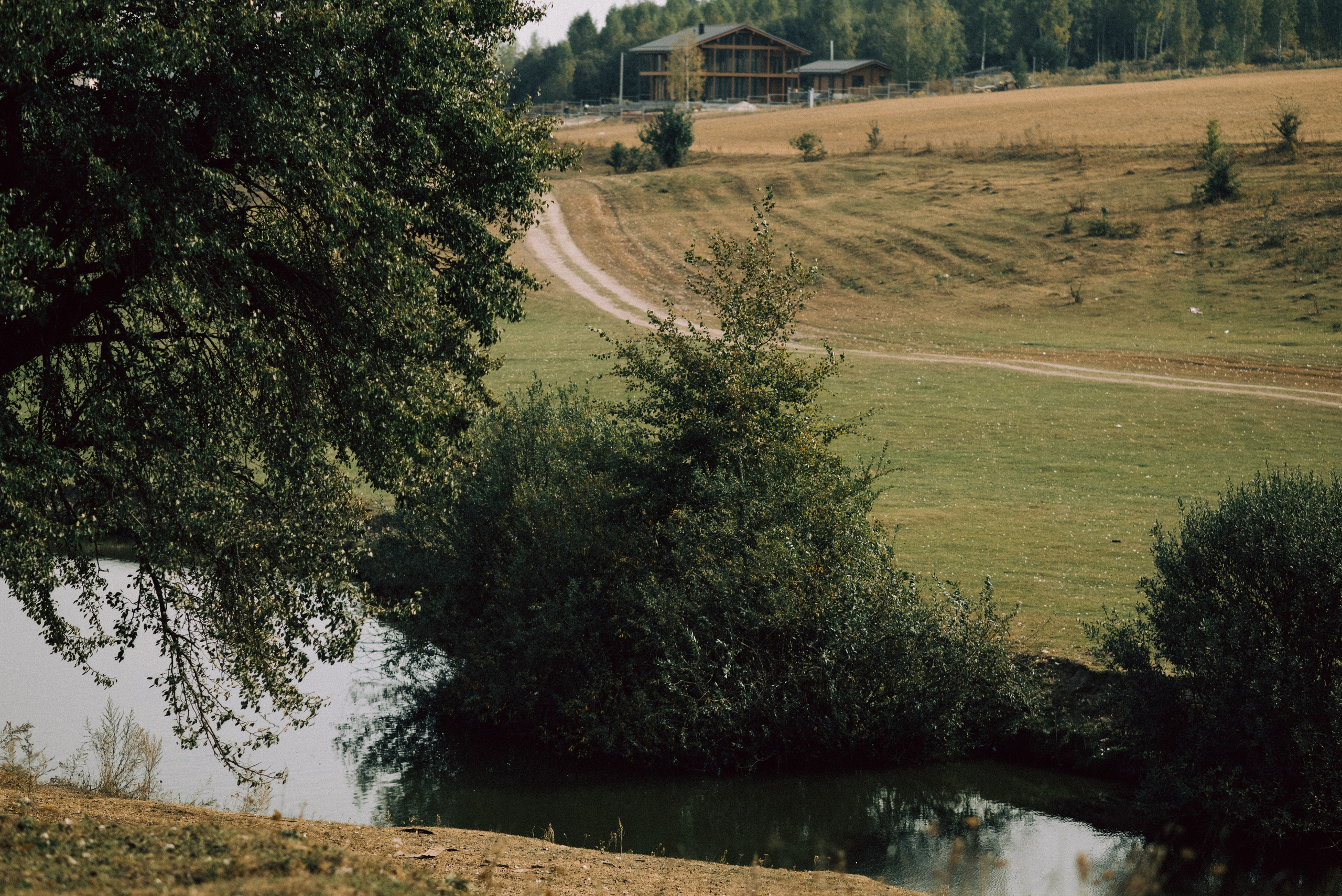 Таня. Свадебный и портретный фотограф в Брянске и Москве Алина Химушкина