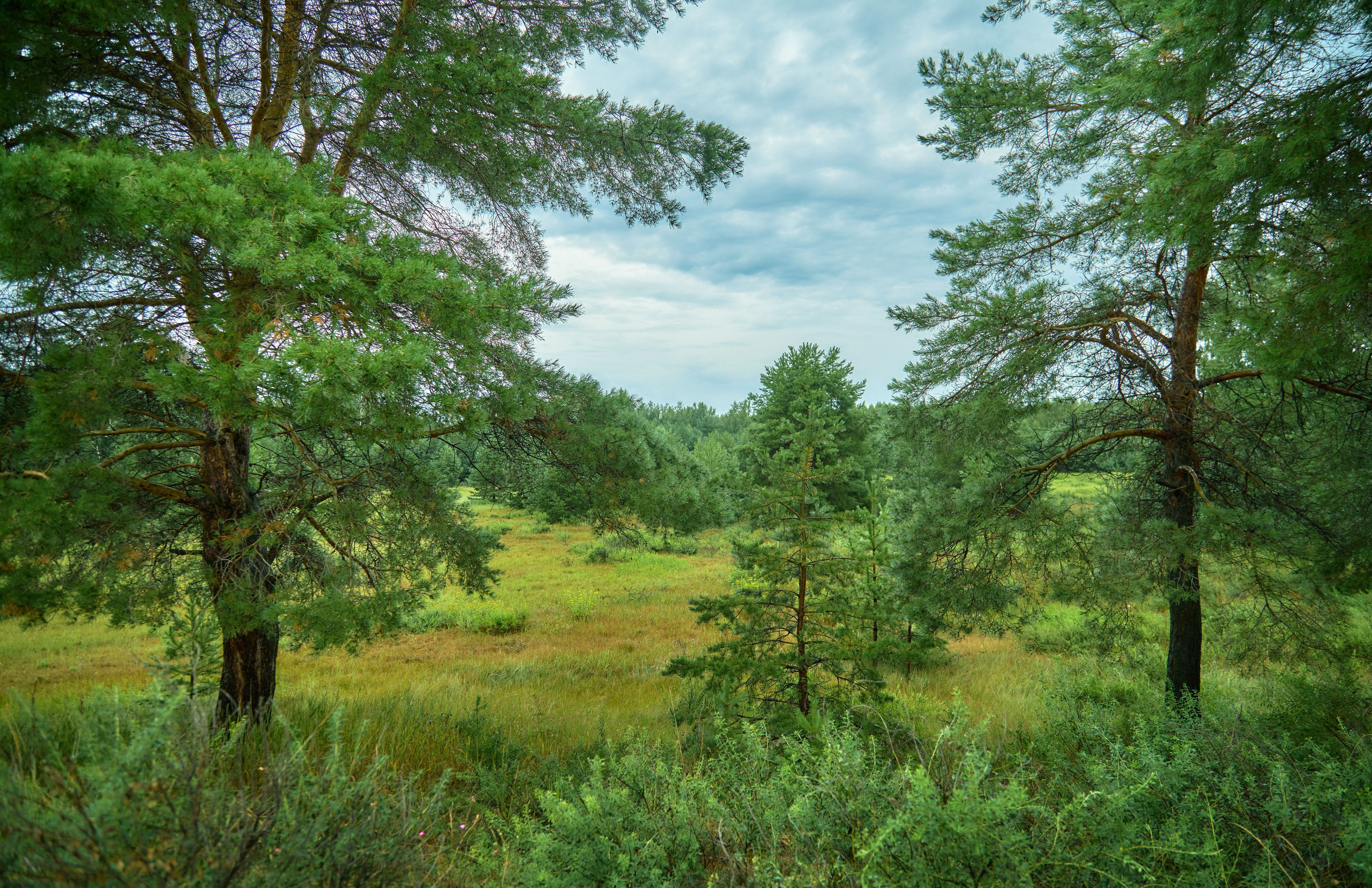 Пейзажная фотосъемка. Владимир Суздалов (ProMaXe) — Портретный фотограф, тематические фотосессии в Чебоксарах