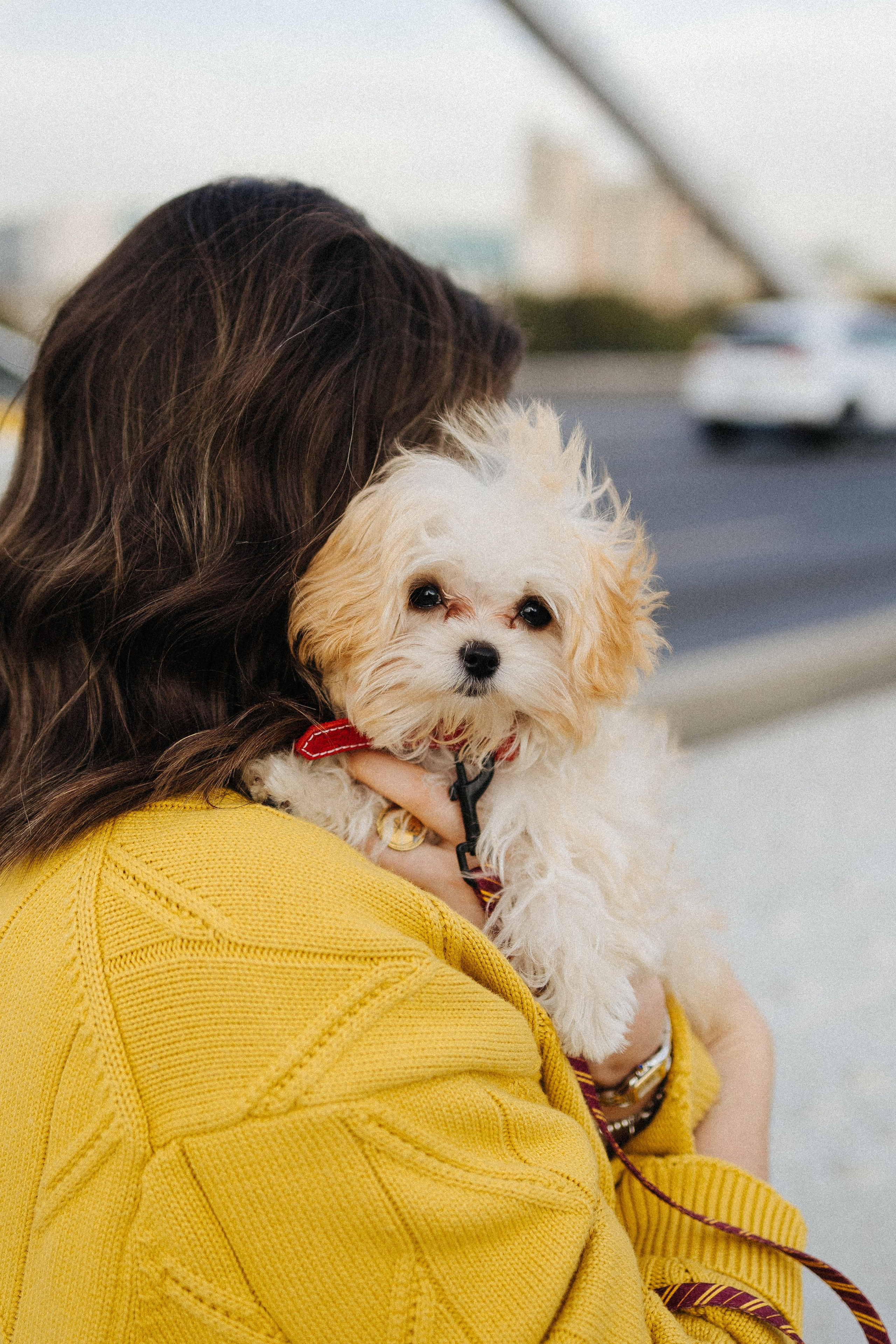 Оля и Бри. Фотораф — анималист Мария Шистка