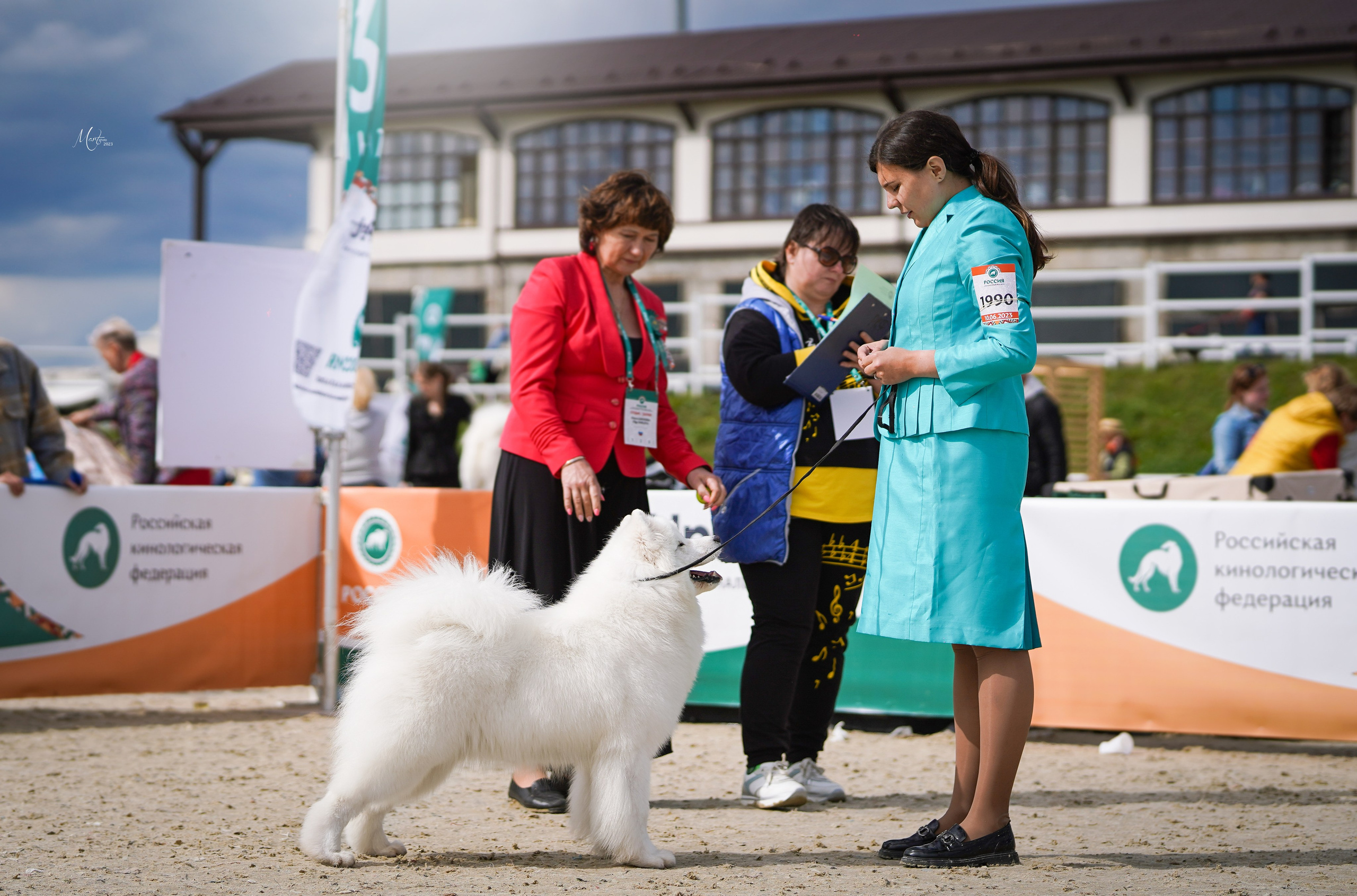Выставки 2023. Фотограф-анималист в Санкт-Петербурге Яна Мартынова