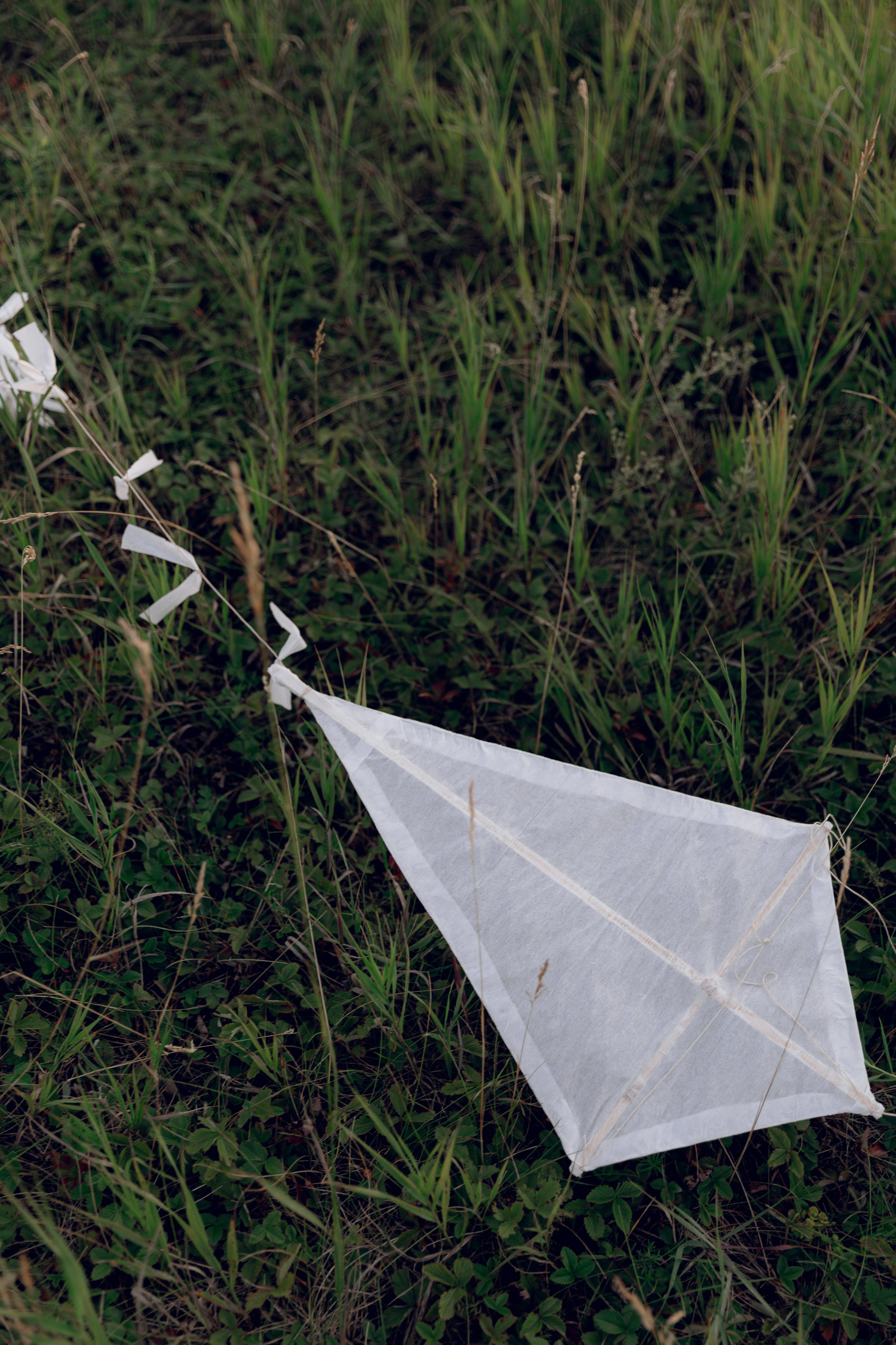 Тёплым летним днём. Свадебный фотограф Казань| Фотограф Казань Зевакина Анастасия